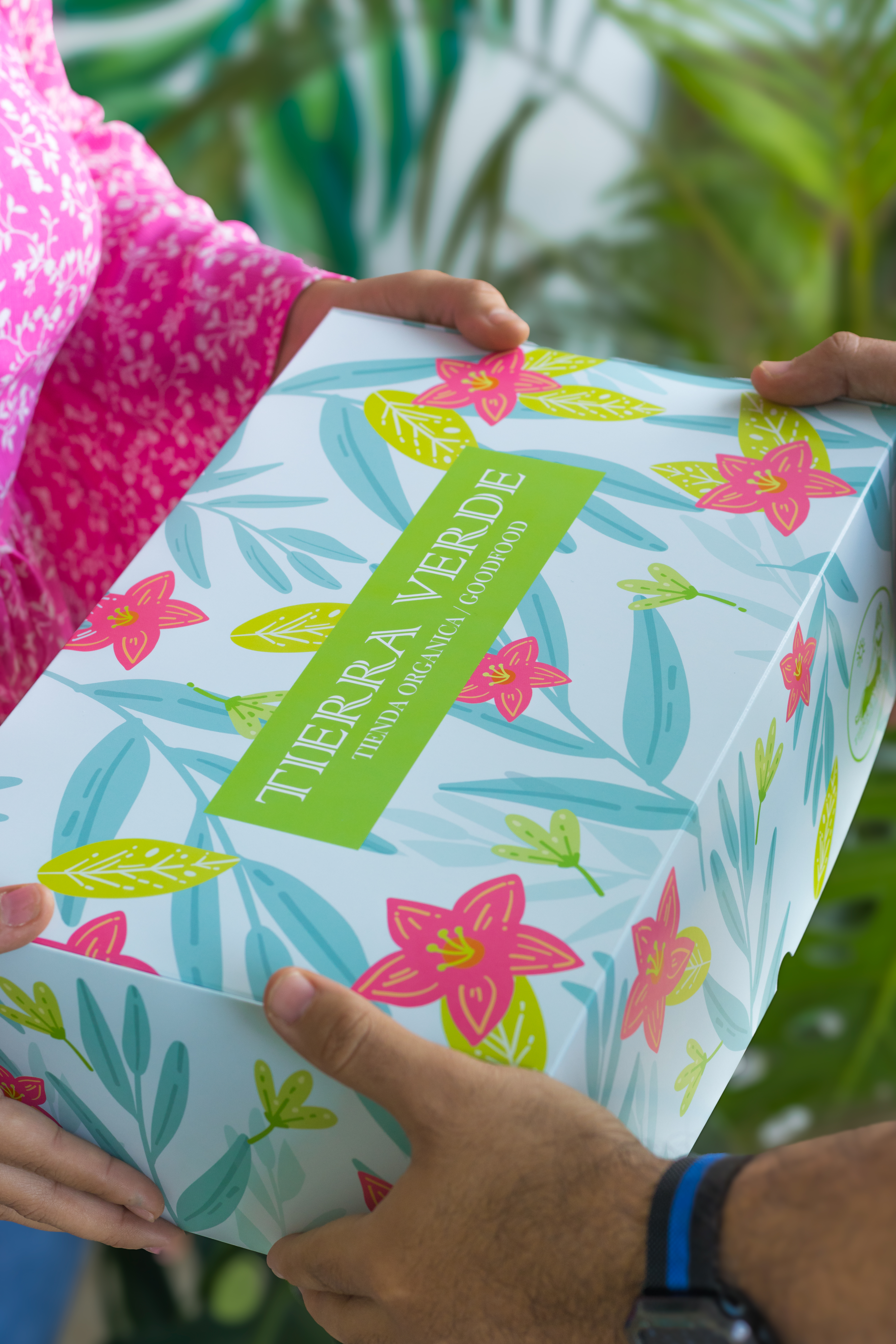 Box Saludable