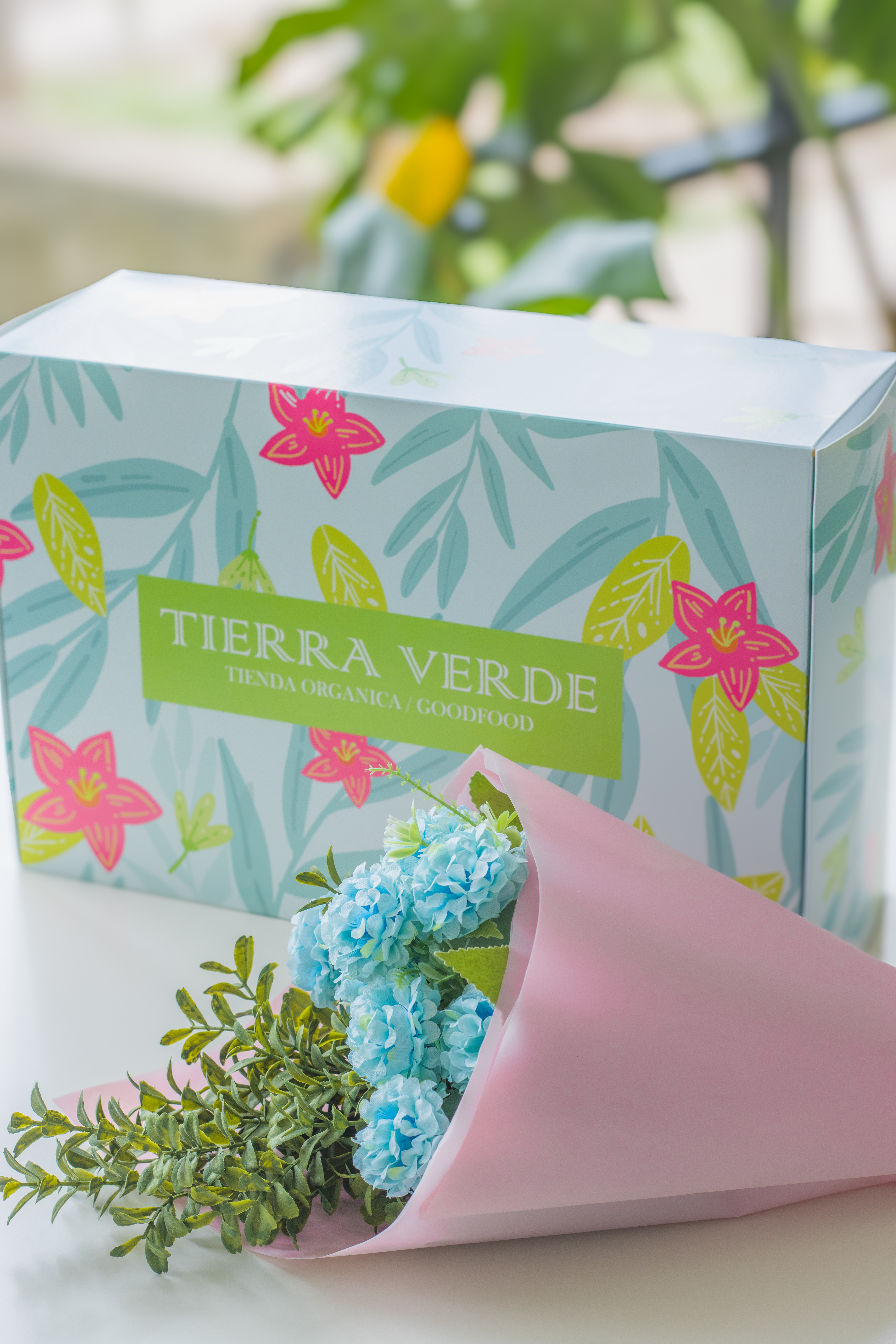 Box Saludable