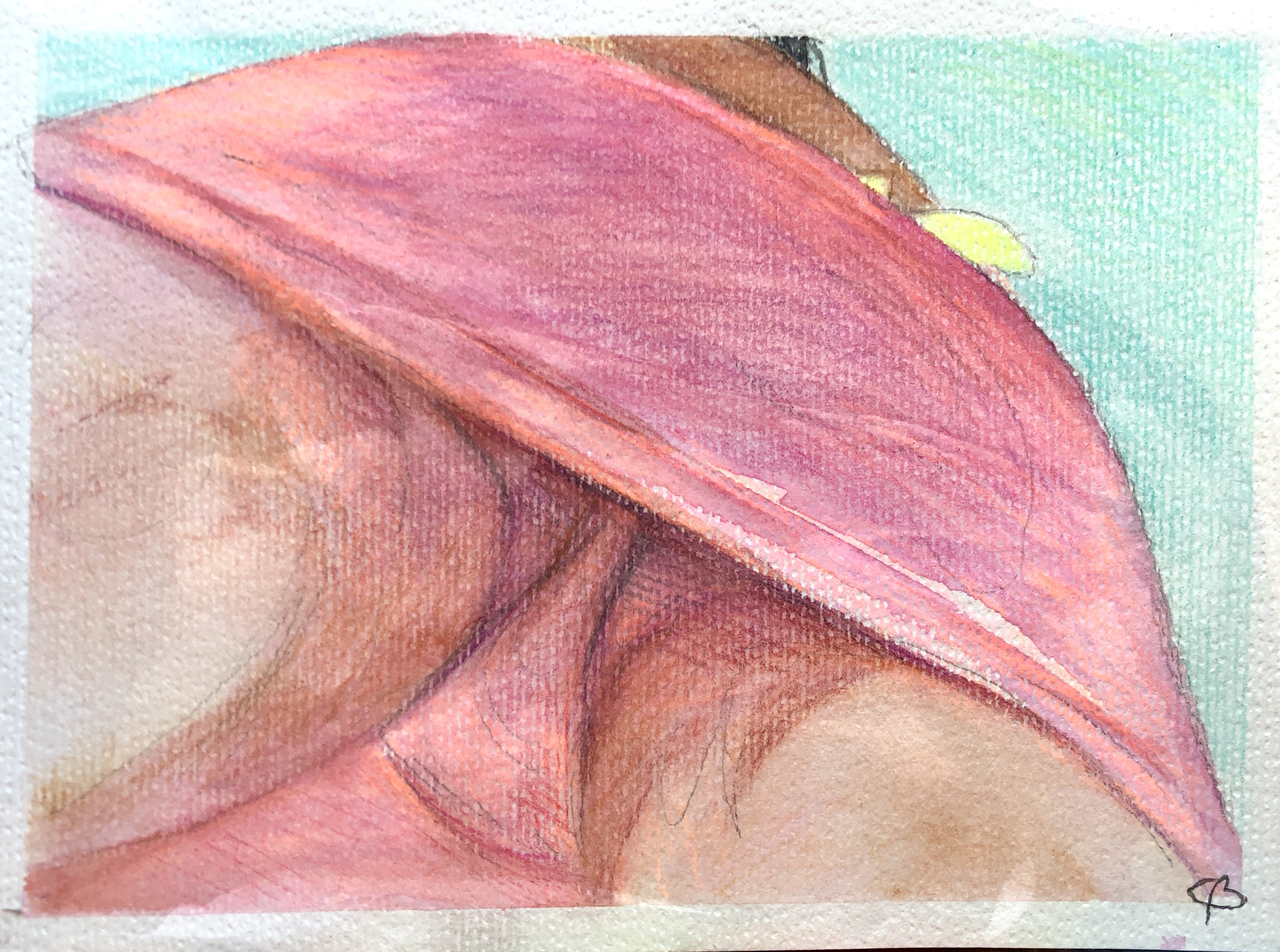 Salsa Body III. - Aquarelle study
