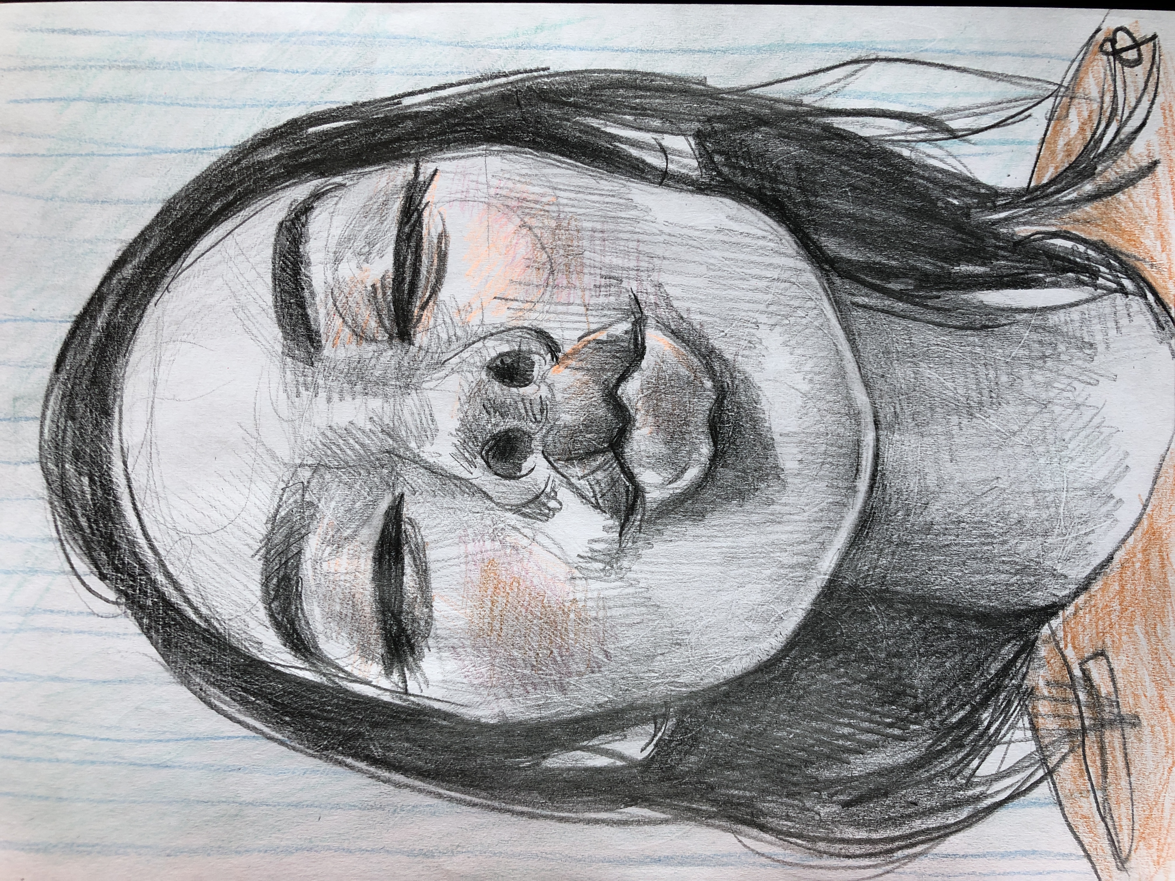 Expressive Portrait Drawing