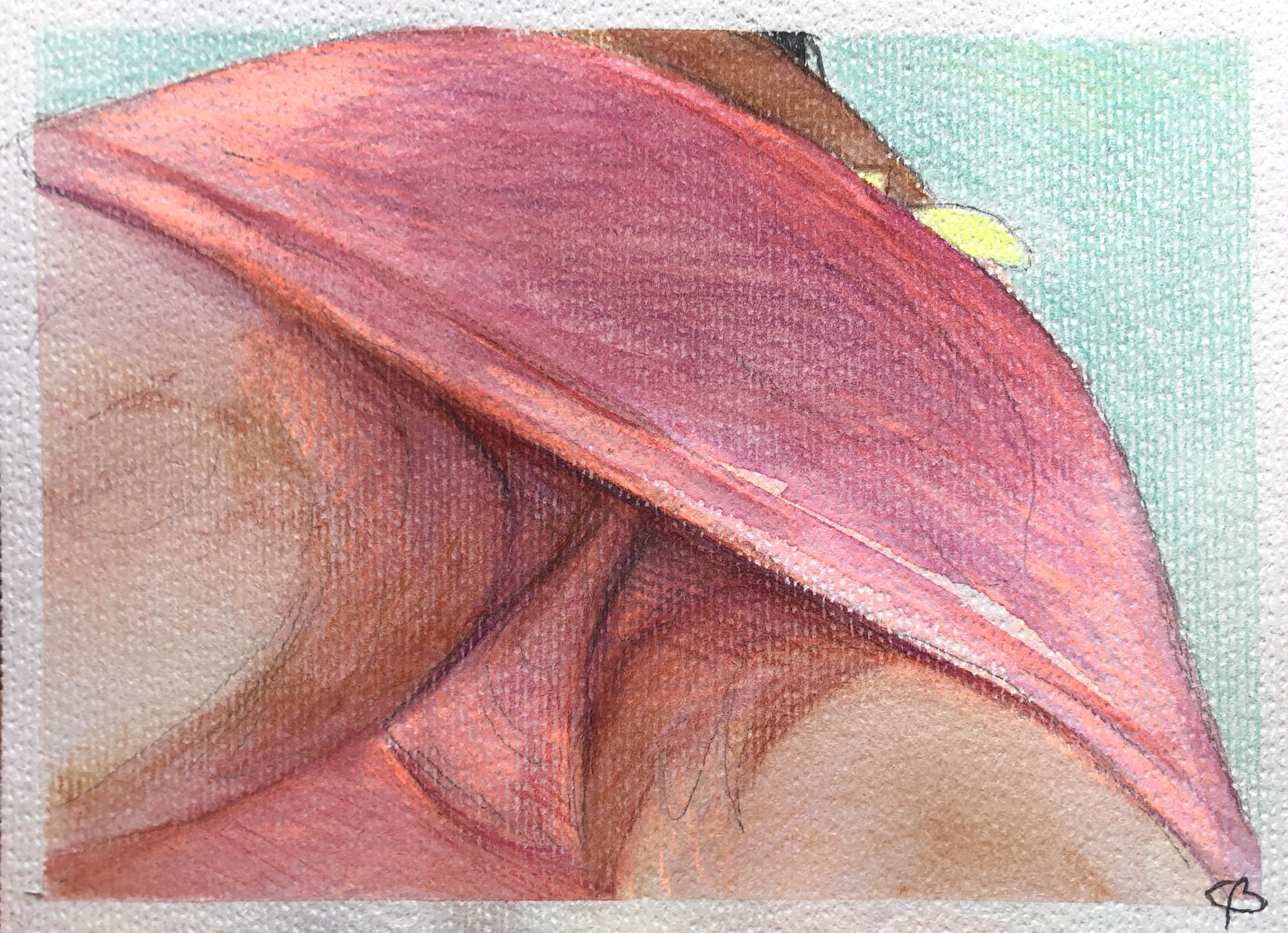 Salsa Body III. - Aquarelle study 