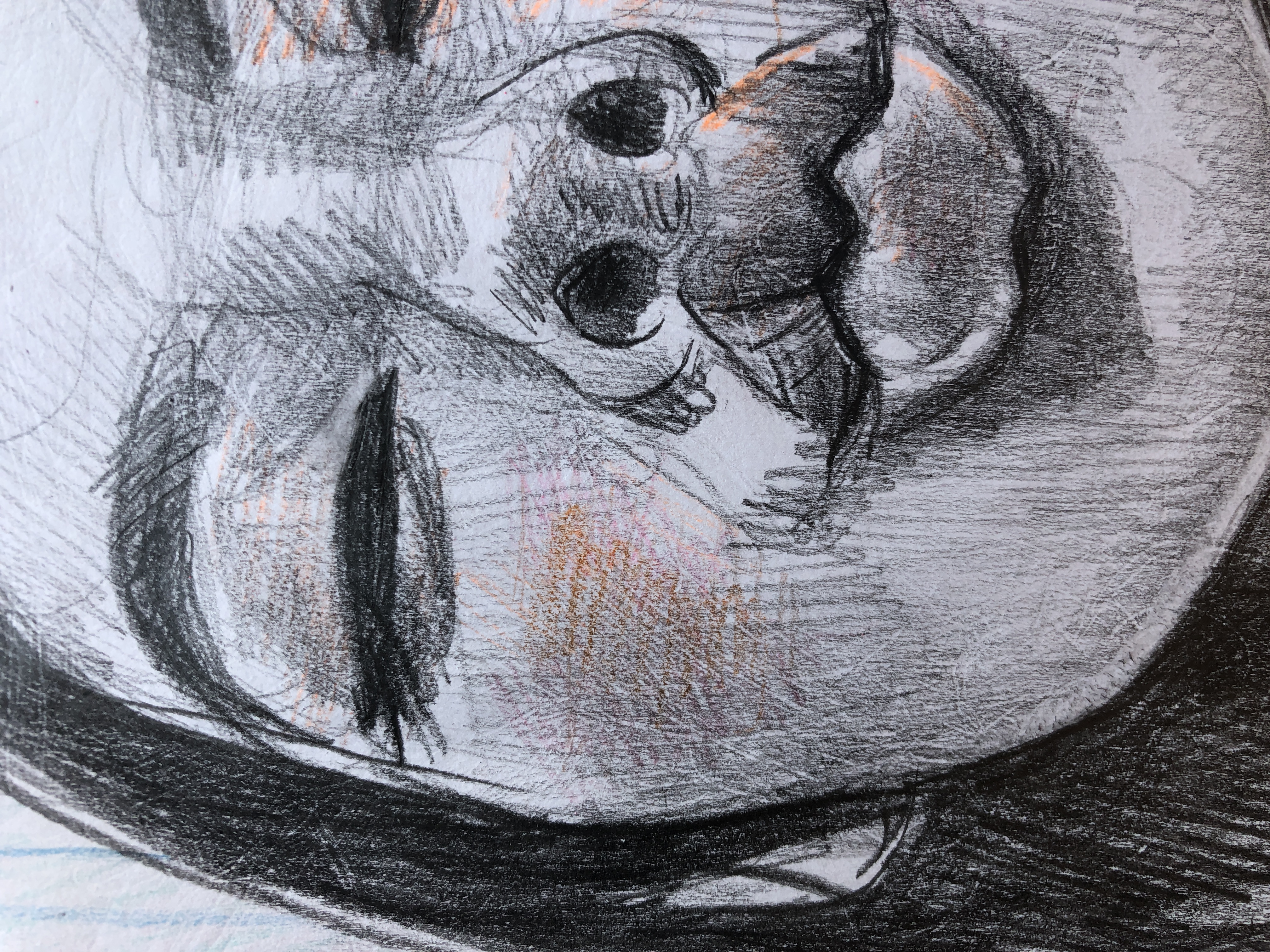 Expressive Portrait Drawing