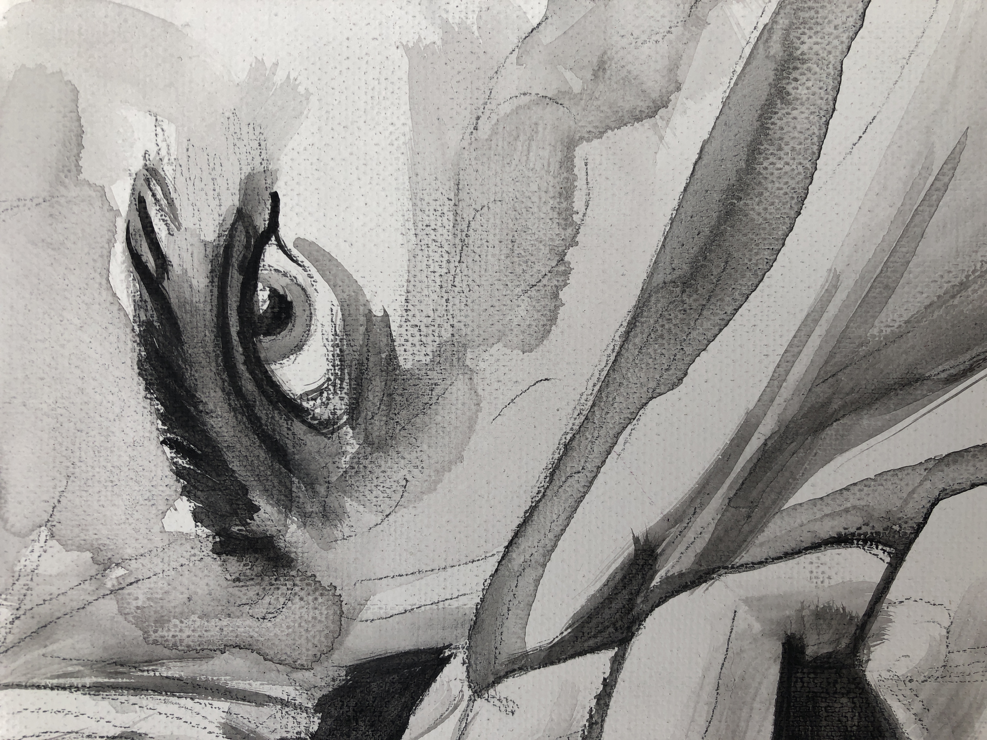 Monochrome Portrait Painting