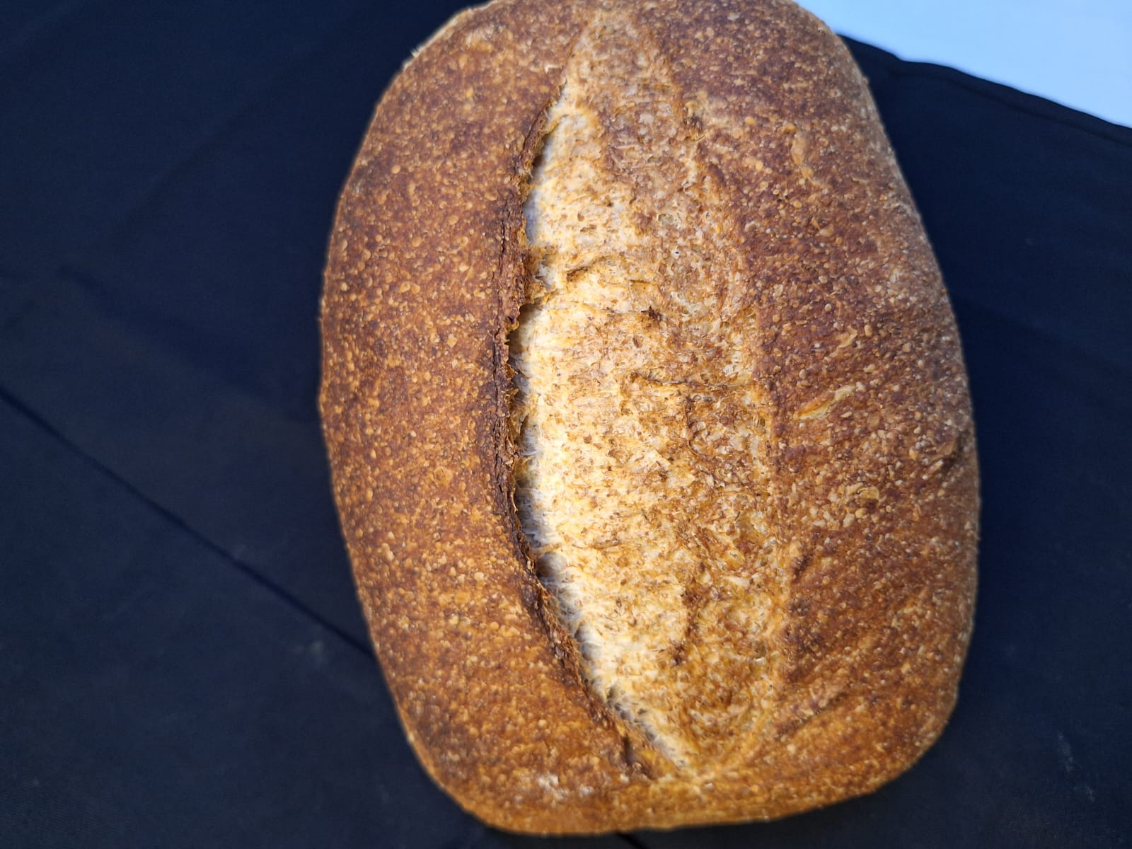 PÃO RUSTICO ITALIANO  TOAST      100 %  INTEGRAL 