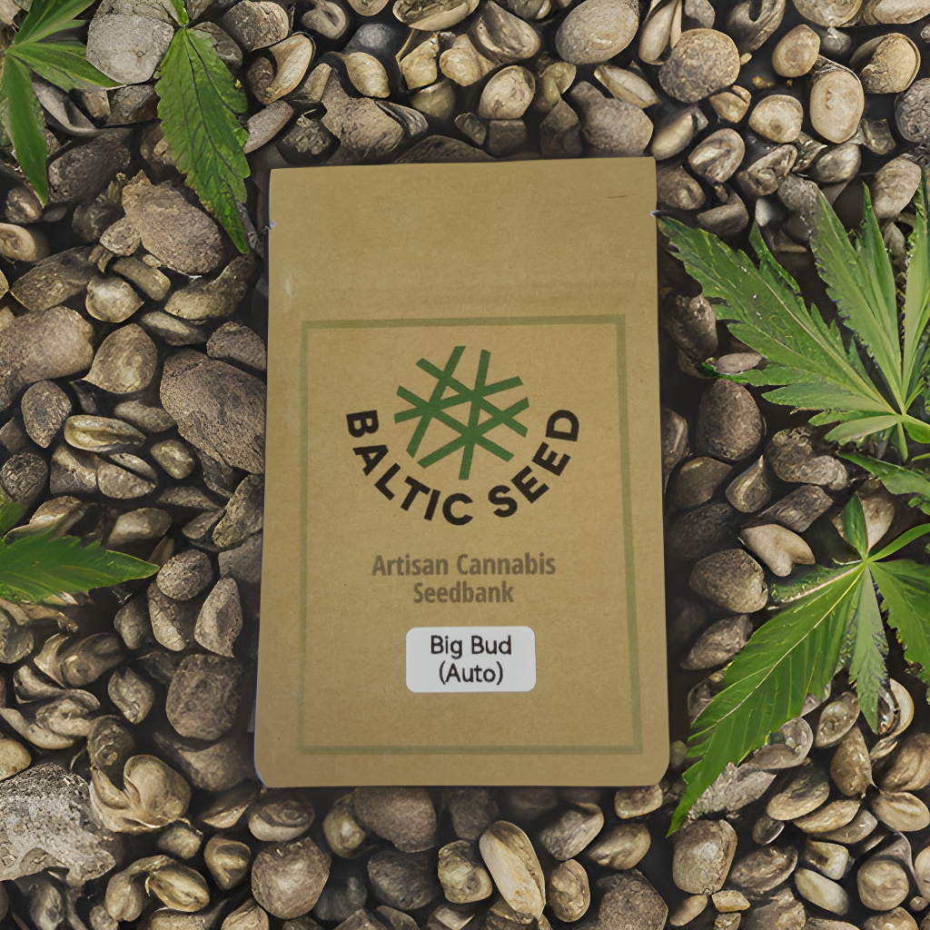 Big Bud