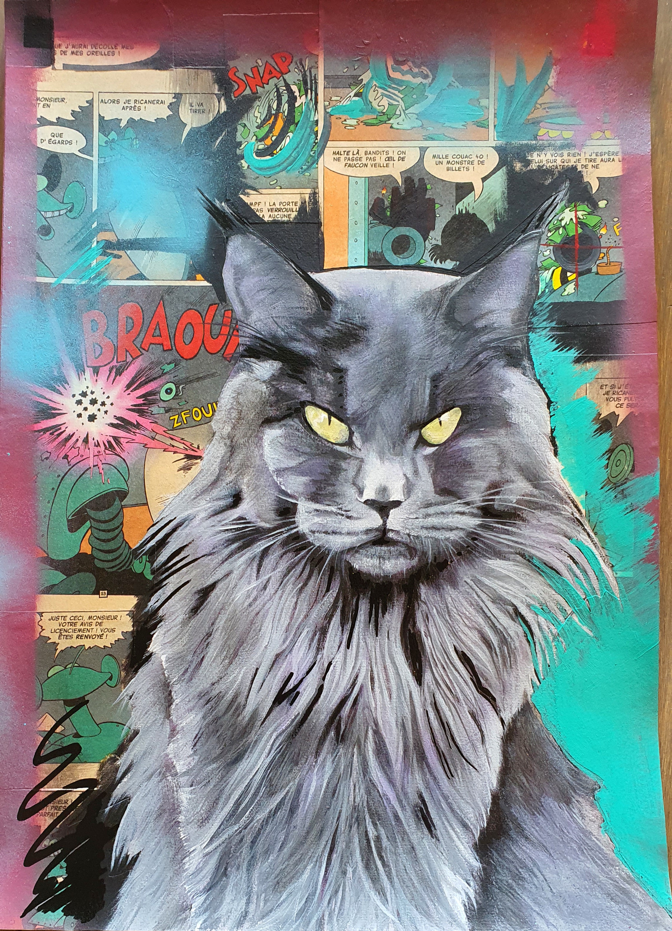 Maine Coon 40 x  30 cm