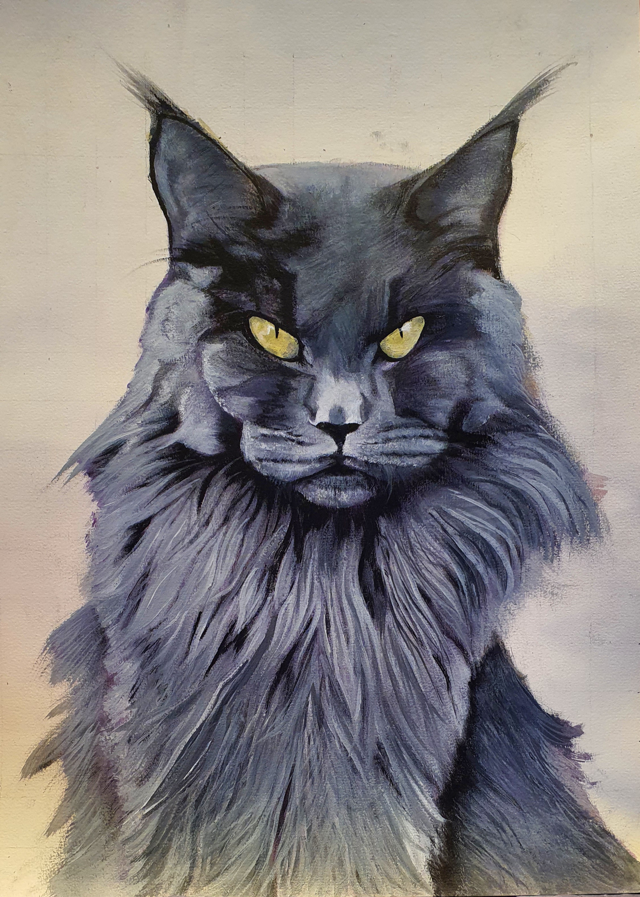 Maine Coon 40 x  30 cm