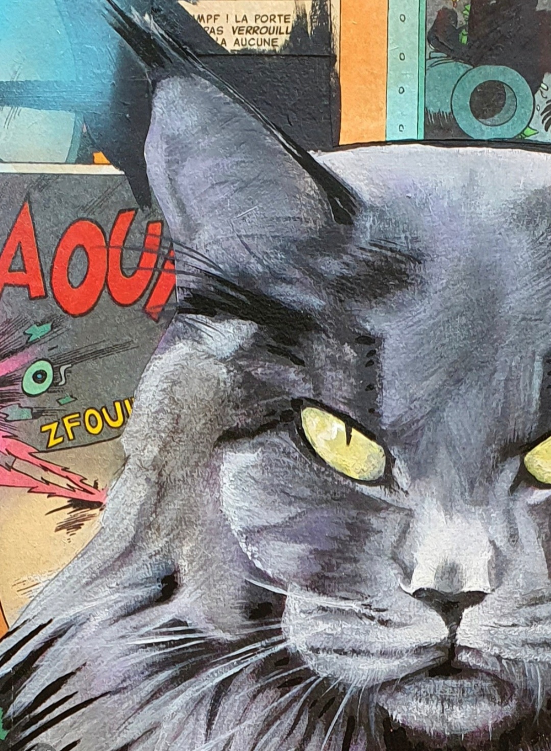 Maine Coon 40 x  30 cm