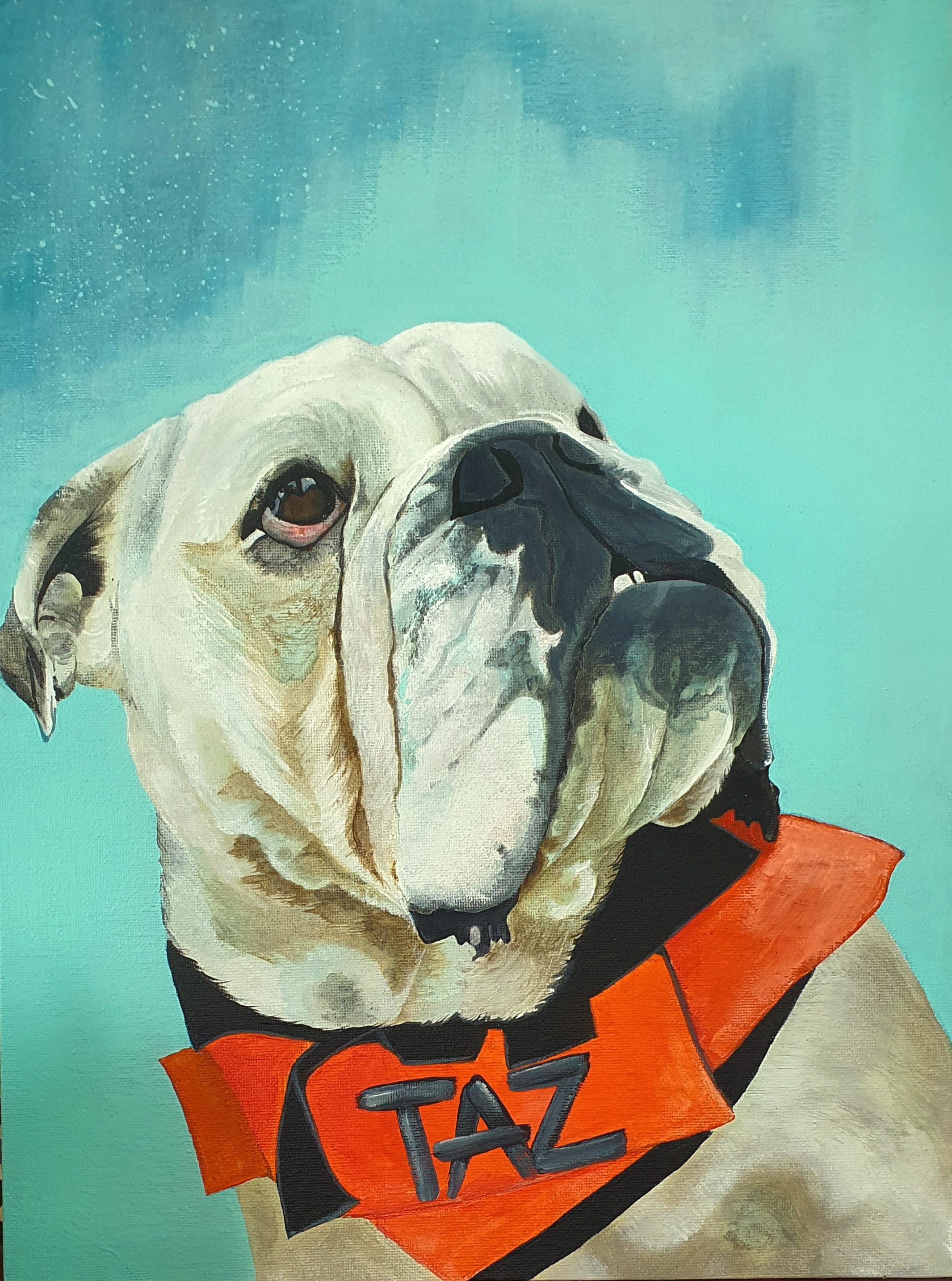 TAZ   40 X 30cm
