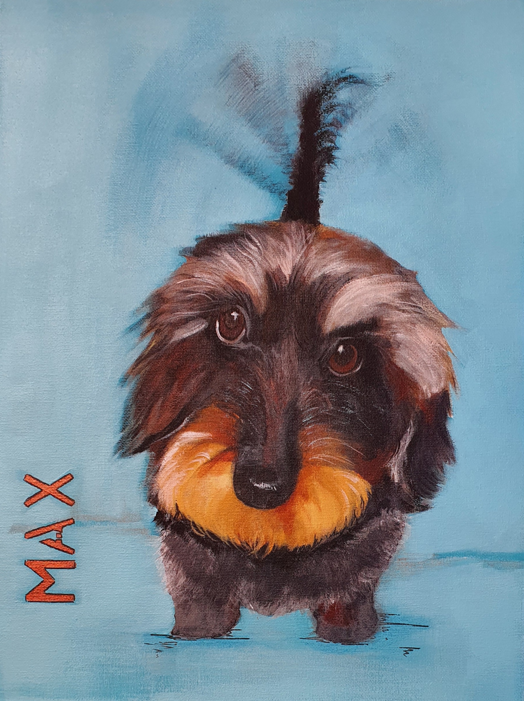 MAX   40x30cm