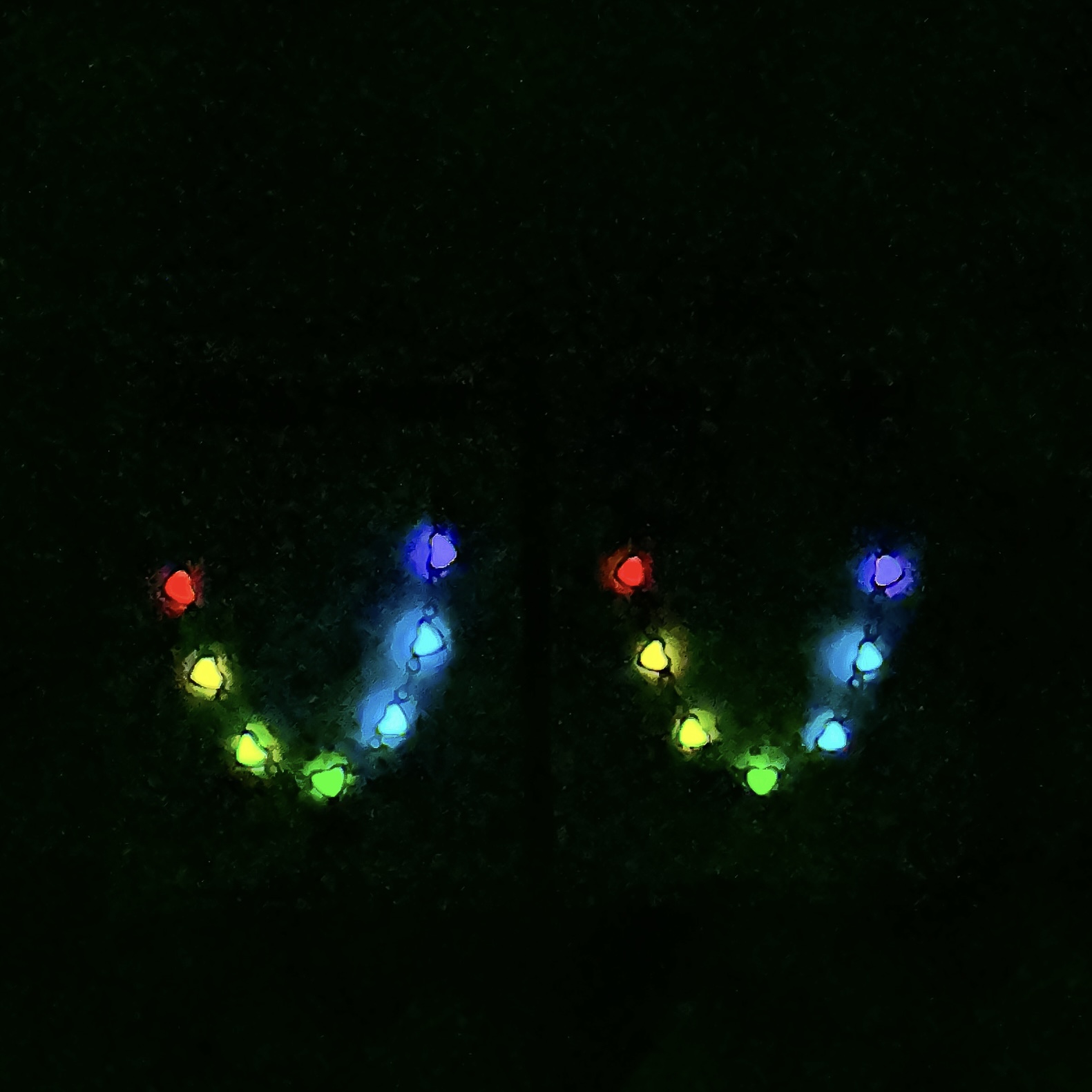 Gargantilla 7 corazones 