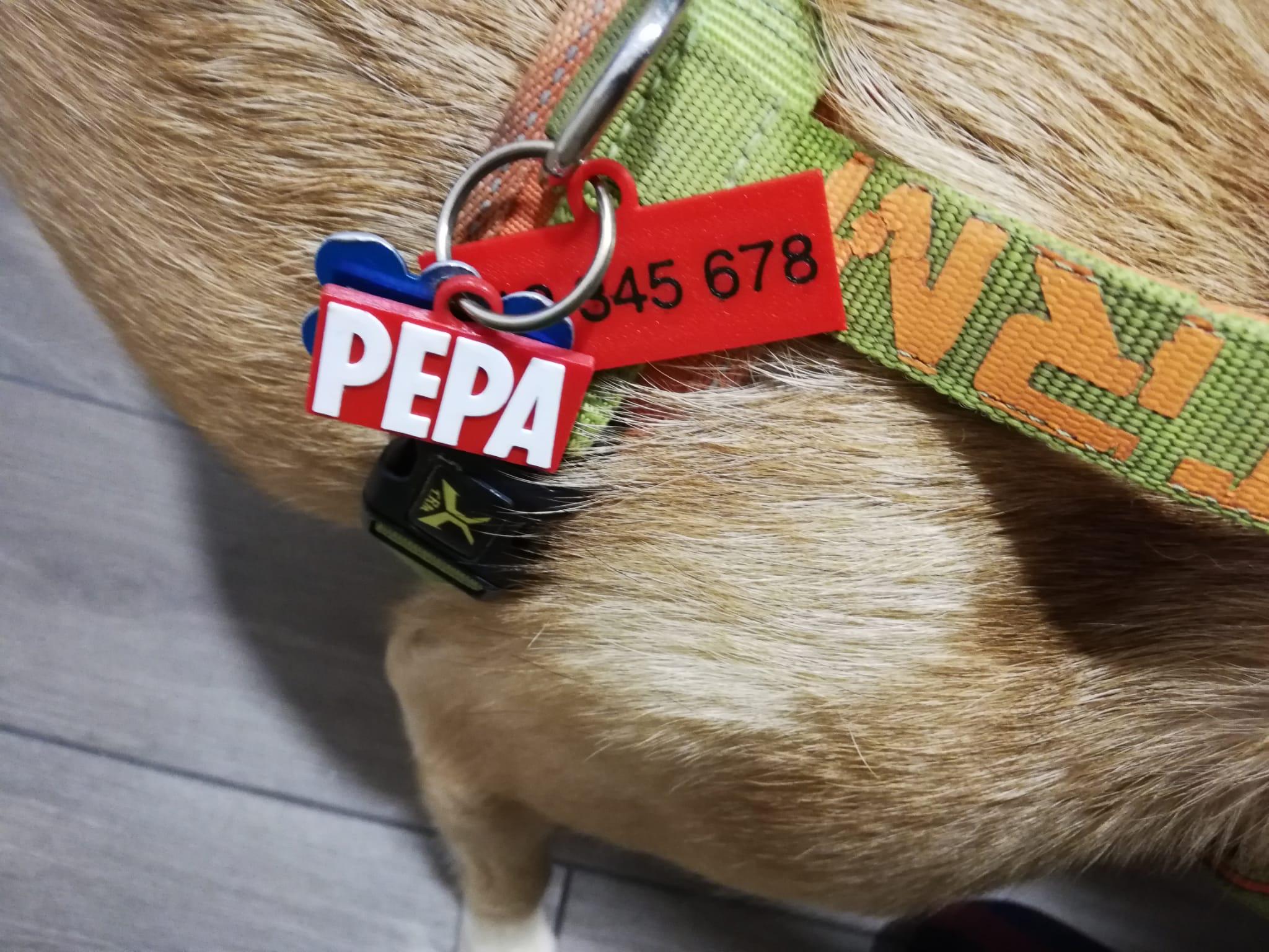 Chapa con Nombre para Gato o Perro Marvel