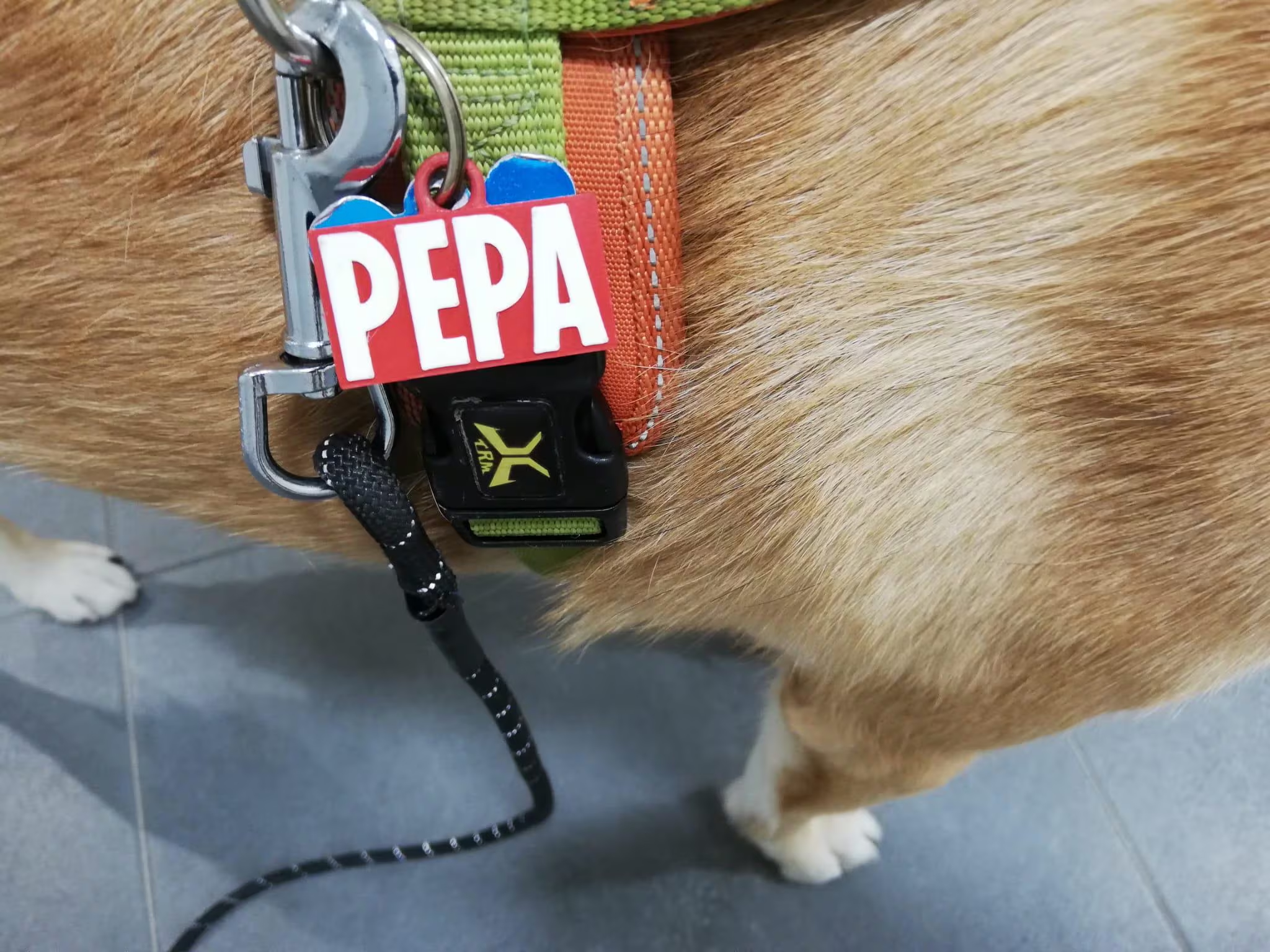 Chapa con Nombre para Gato o Perro Marvel