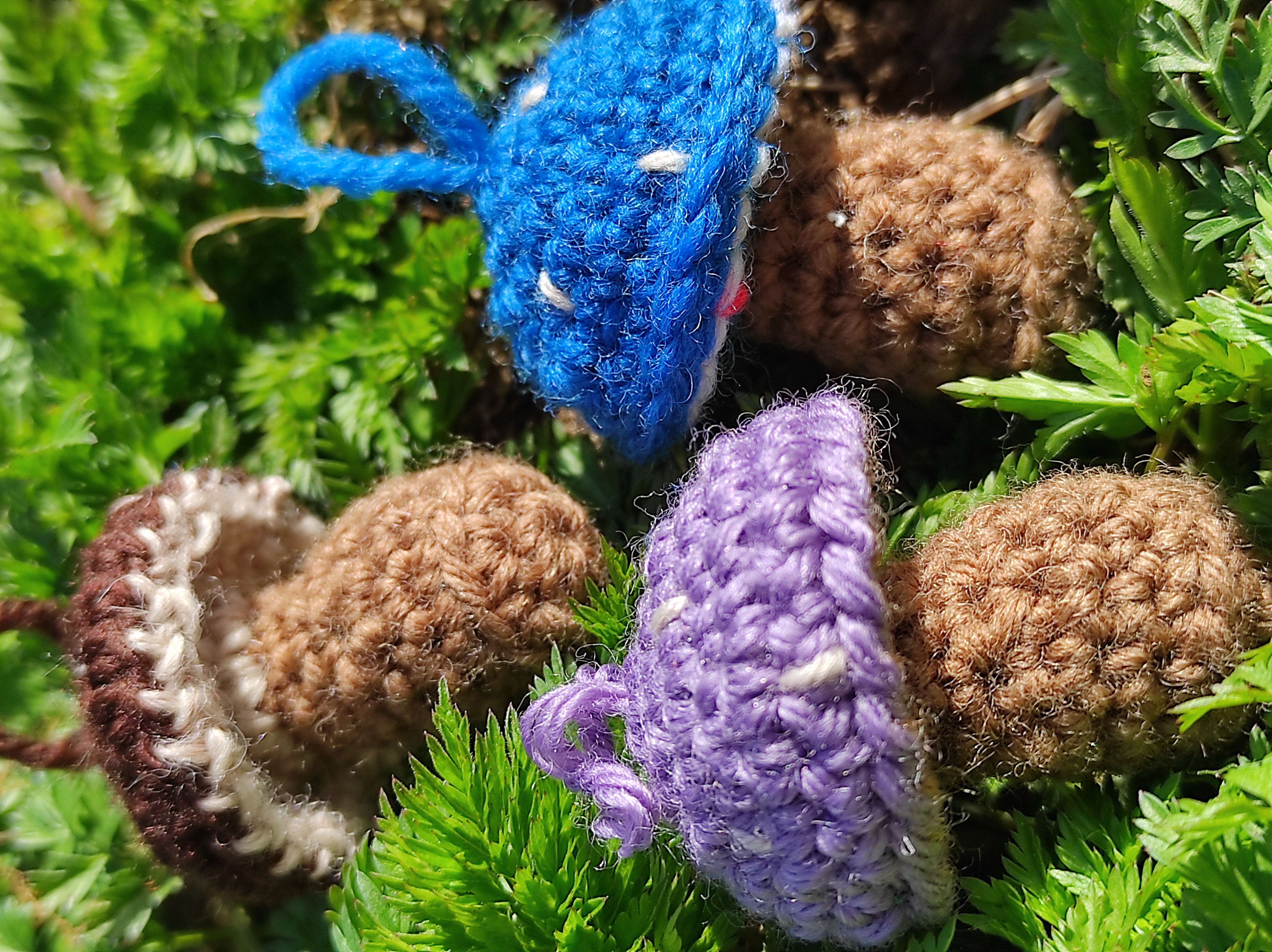 Little Mushrooms 🍄