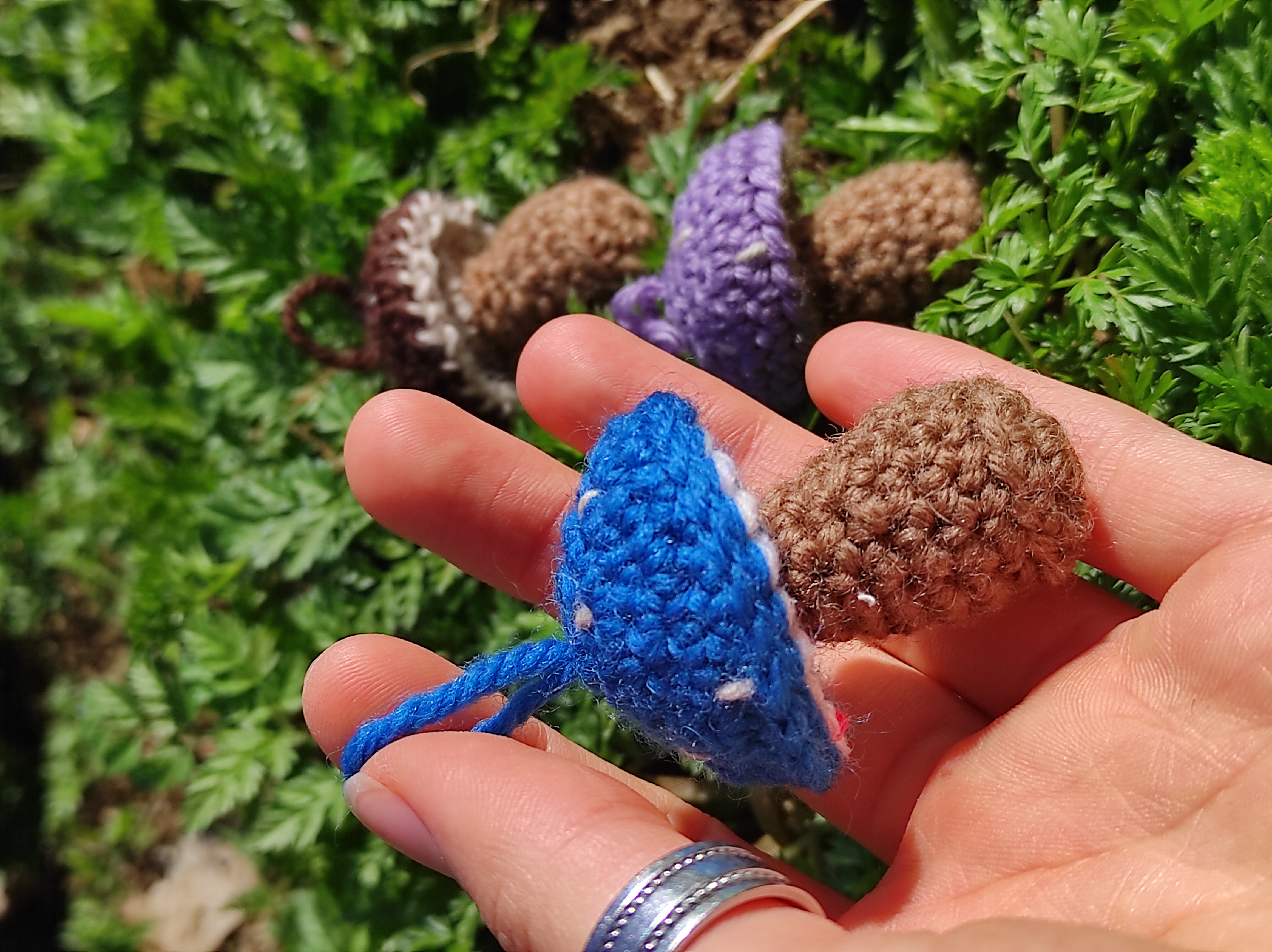 Little Mushrooms 🍄