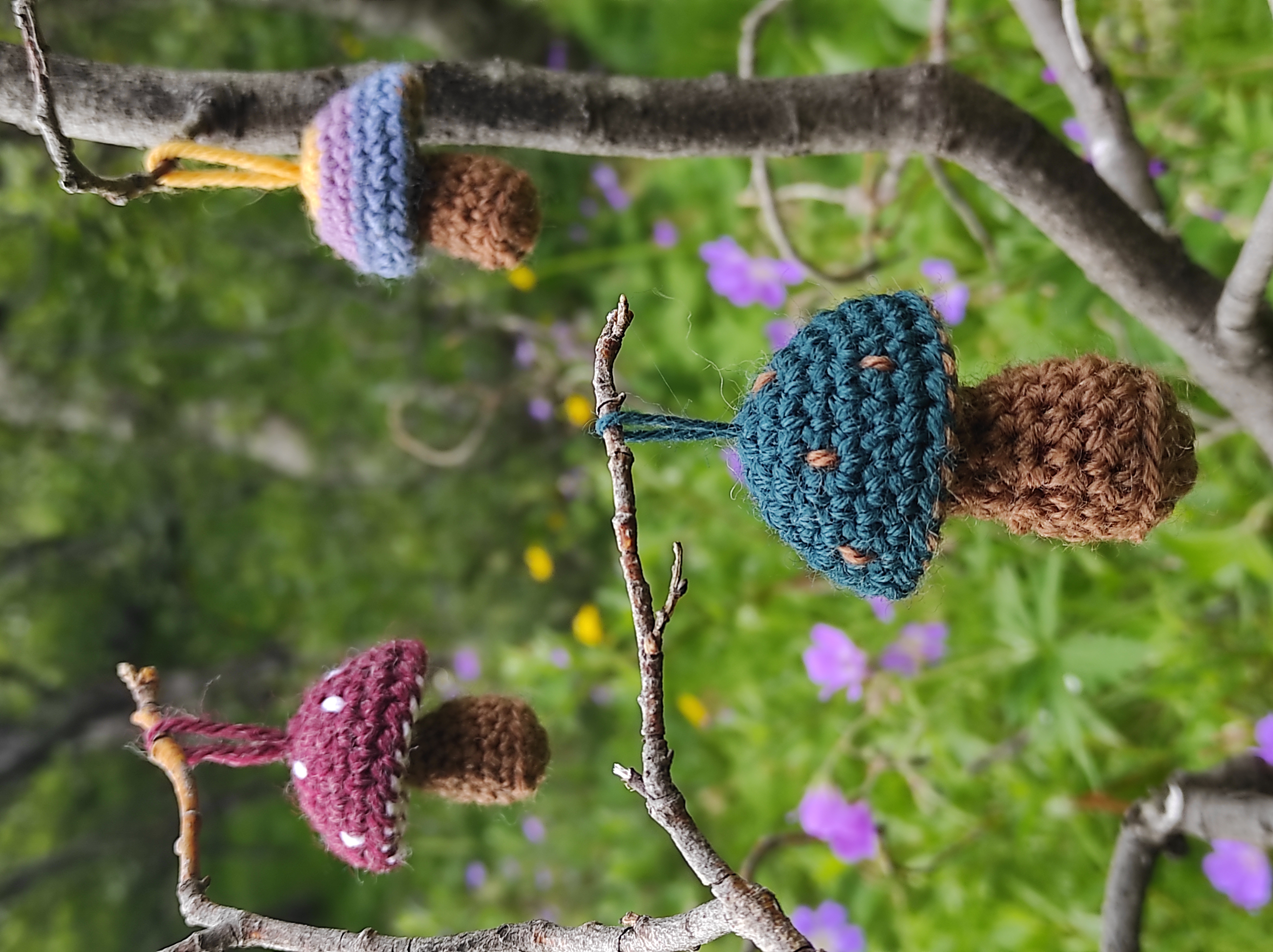 Little Mushrooms 🍄