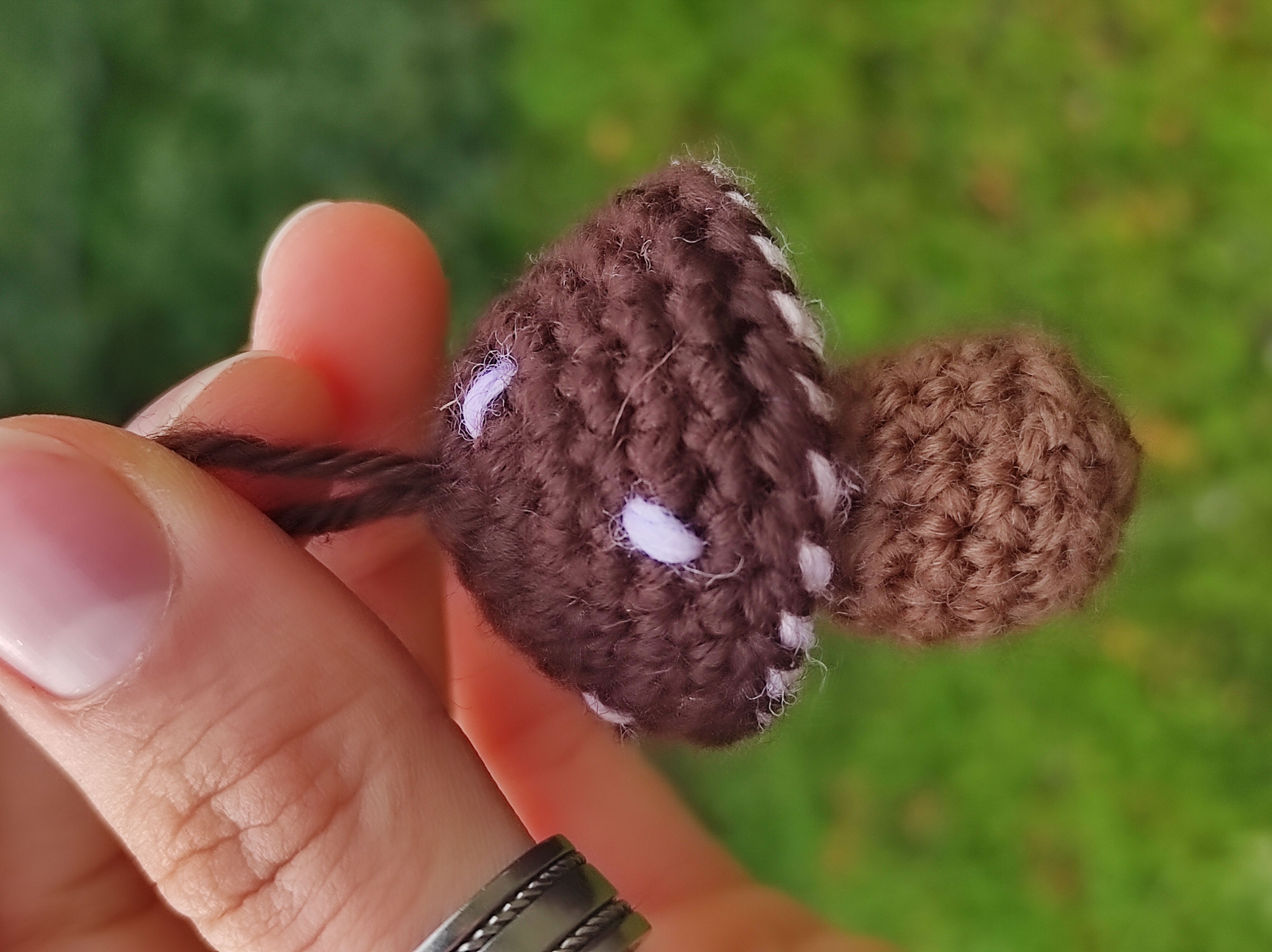 Little Mushrooms 🍄