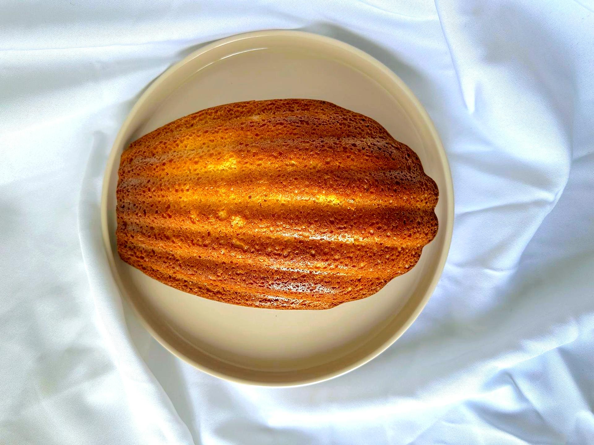 Madeleine XL