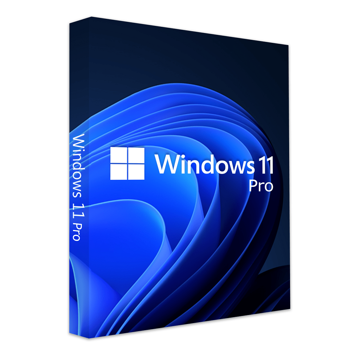 Windows 11 Professional | OME