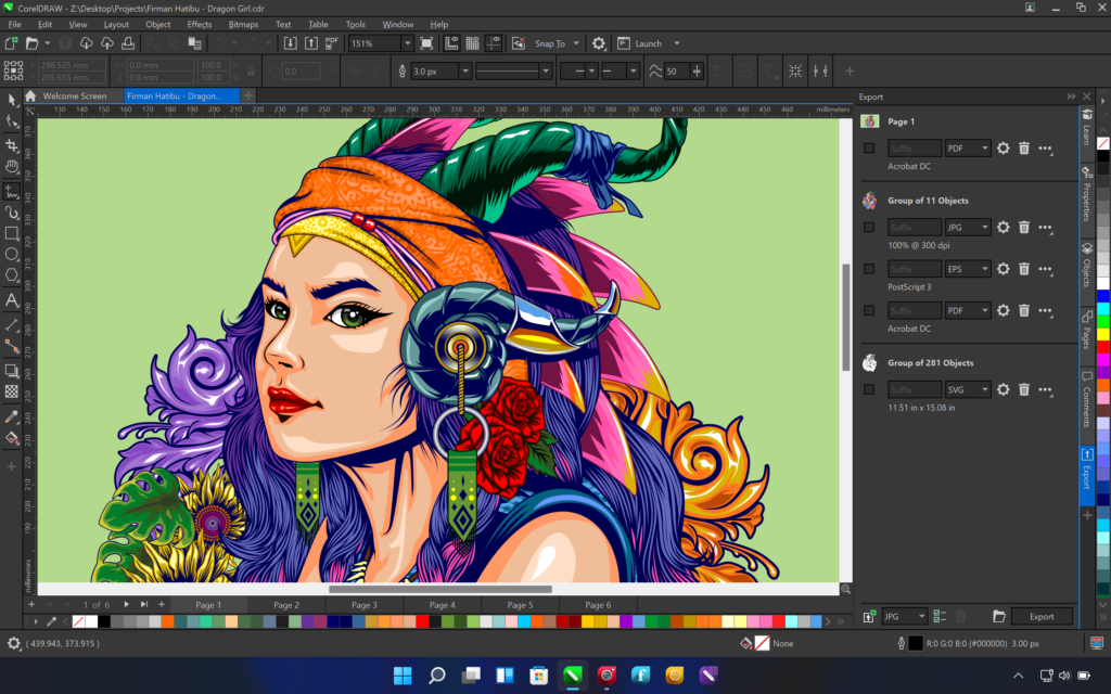 CorelDRAW Graphics Suite 2024 |key