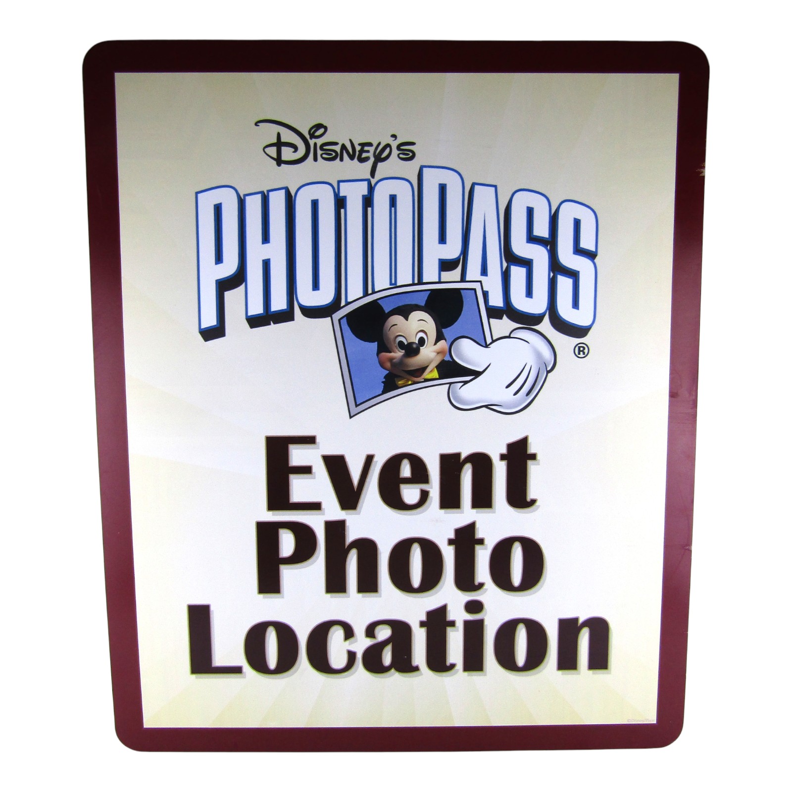 Magic Kingdom Park Used Disney PhotoPass Event Photo Location Poster Display 24" x 20"