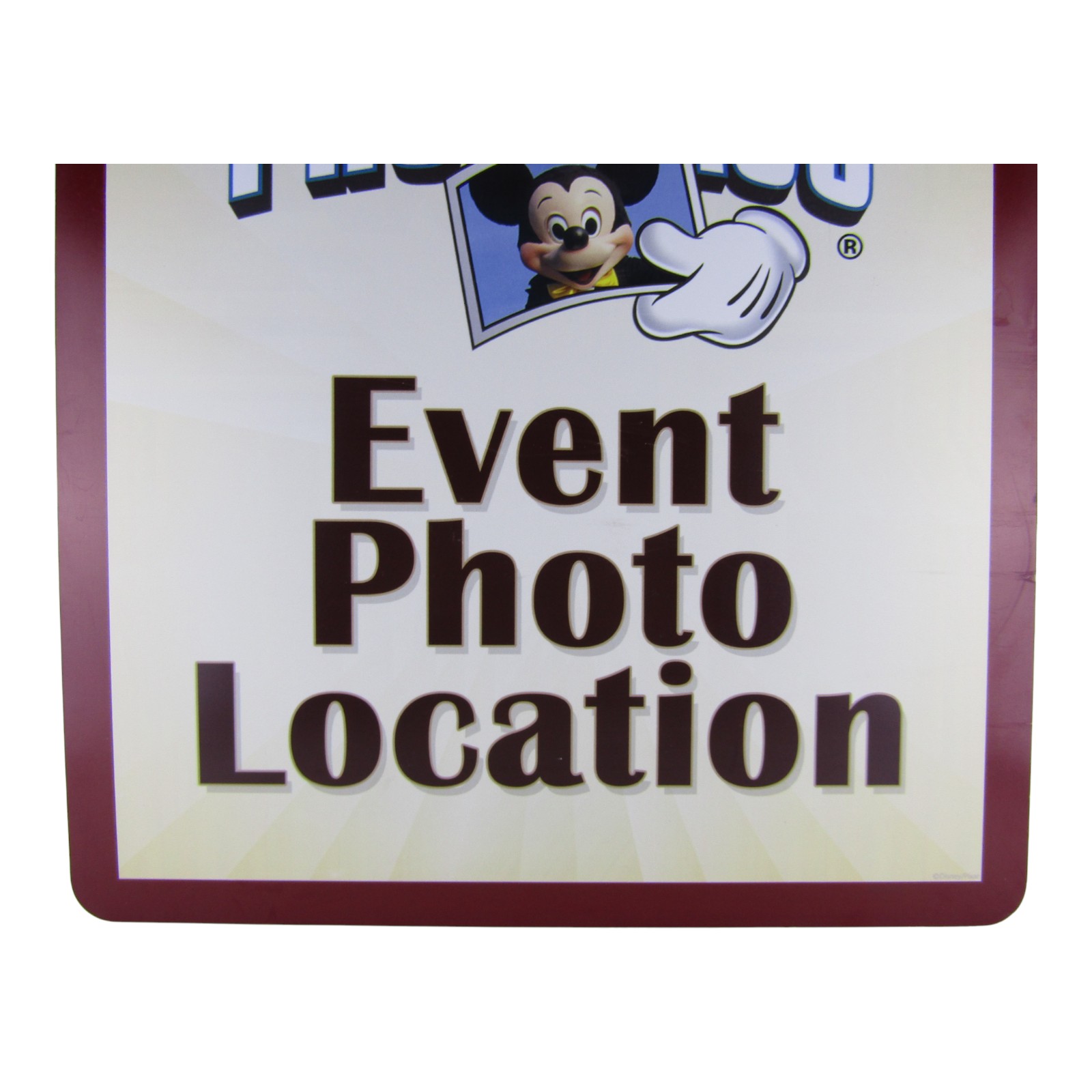 Magic Kingdom Park Used Disney PhotoPass Event Photo Location Poster Display 24" x 20"