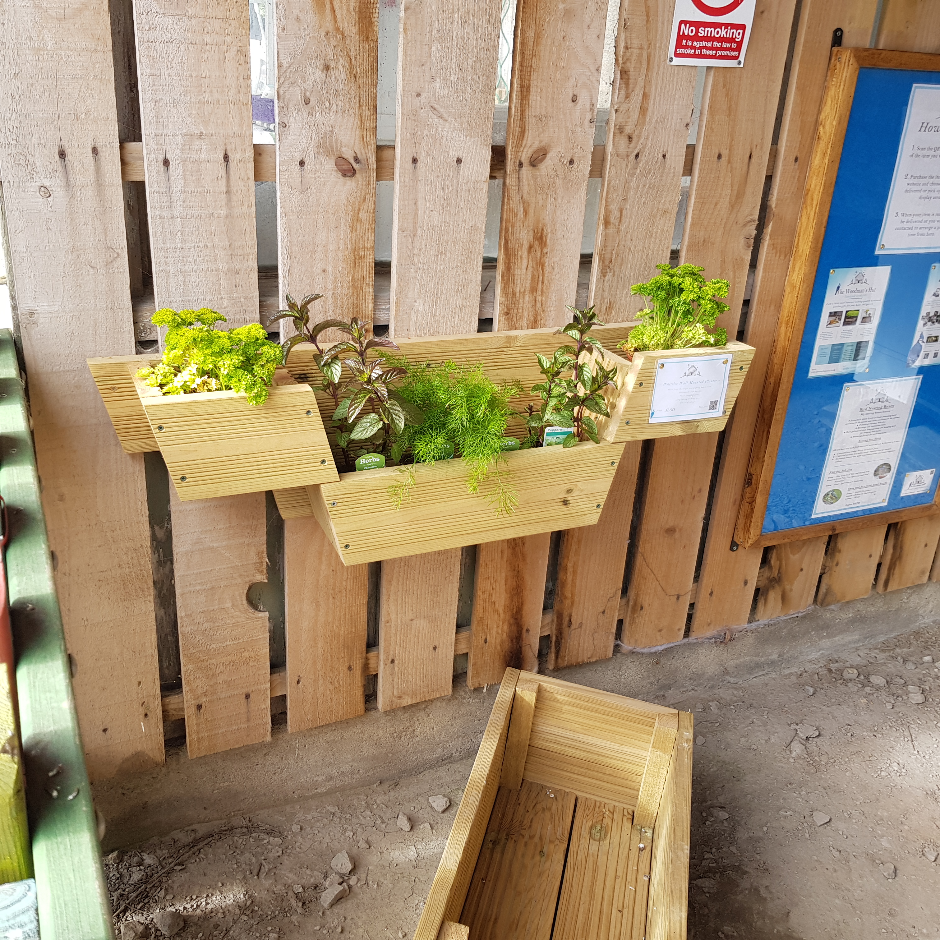 Whitelee Wall Mounted Planter