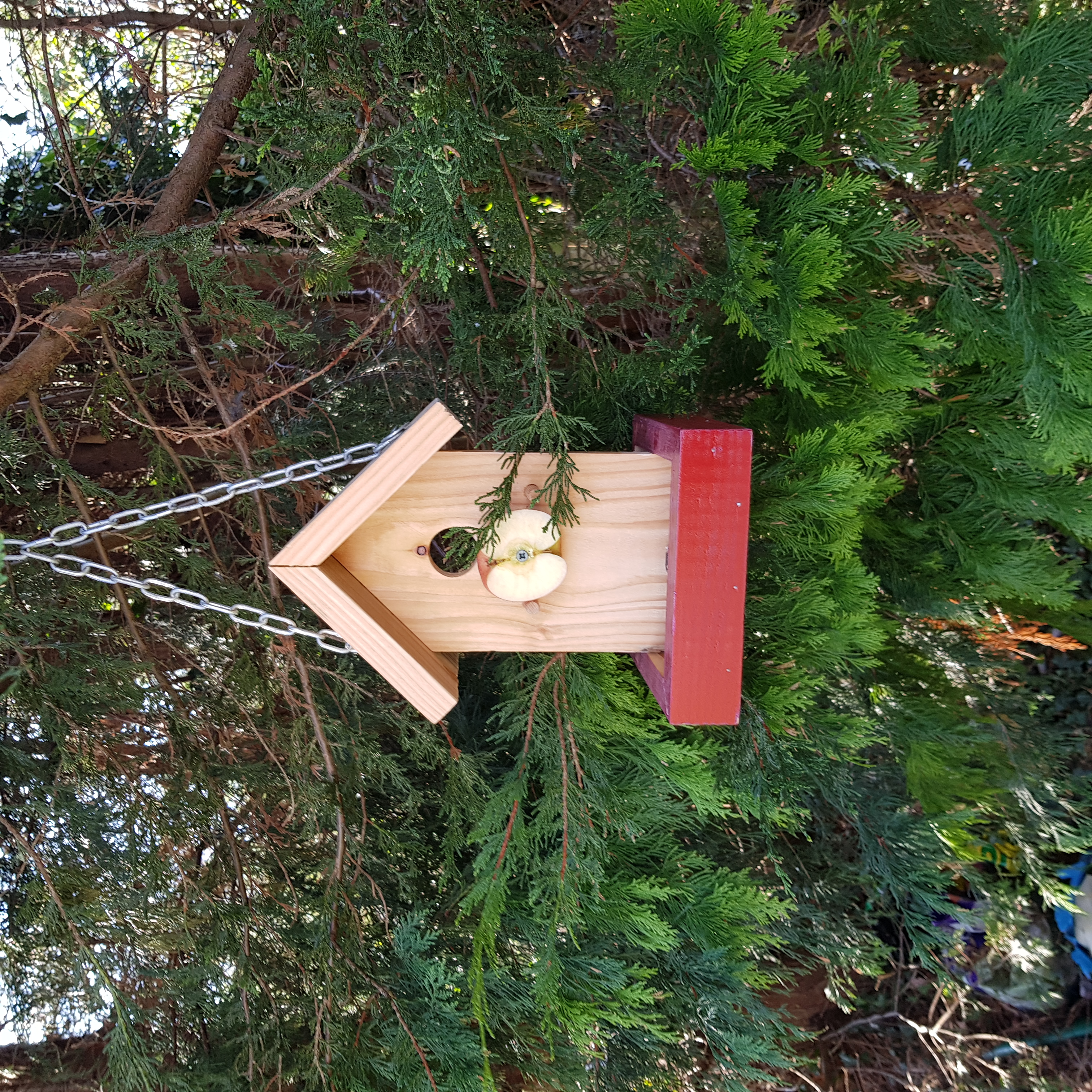 Belsay Bird Feeder