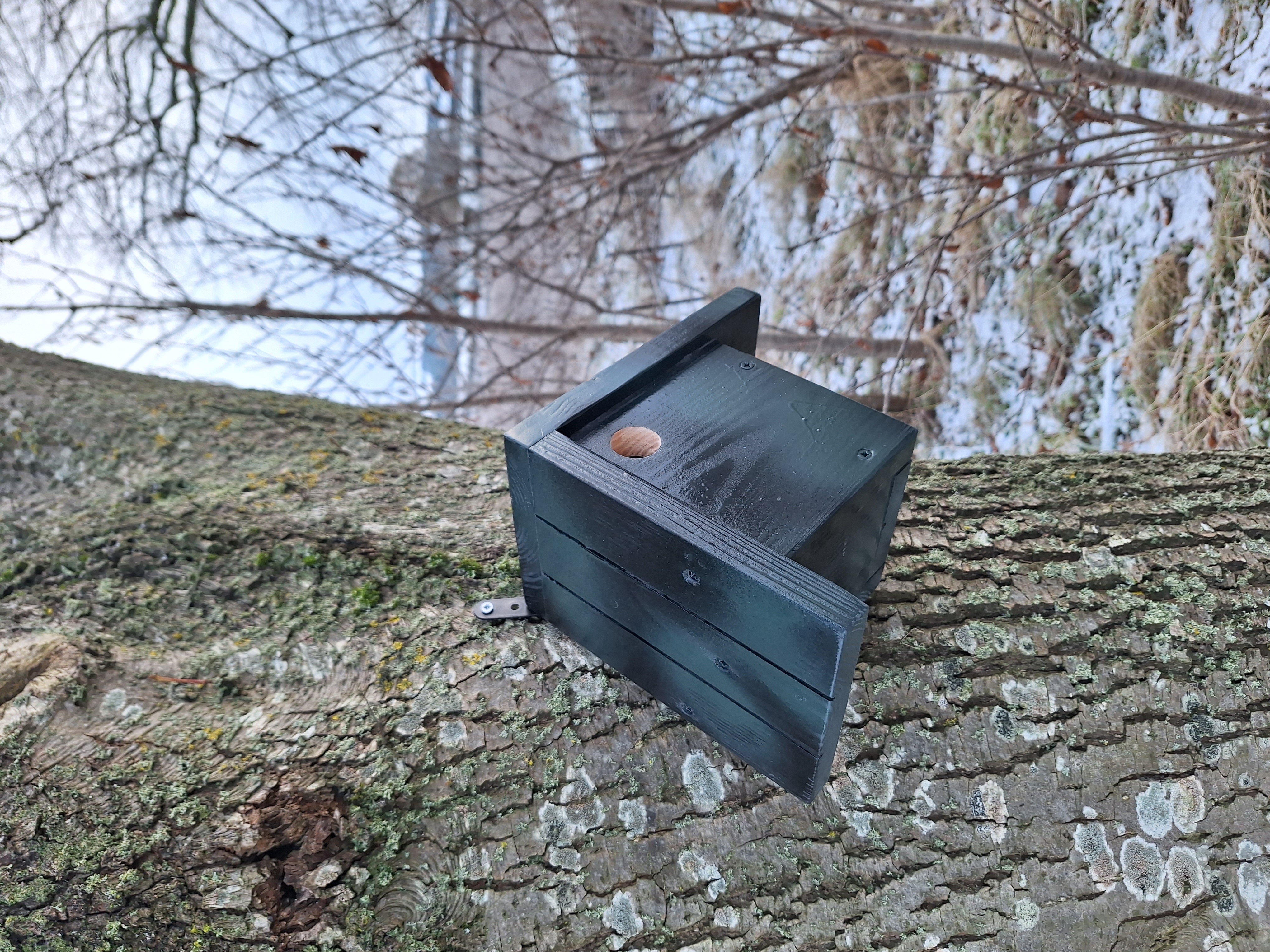 Nesting Box - Featherstone