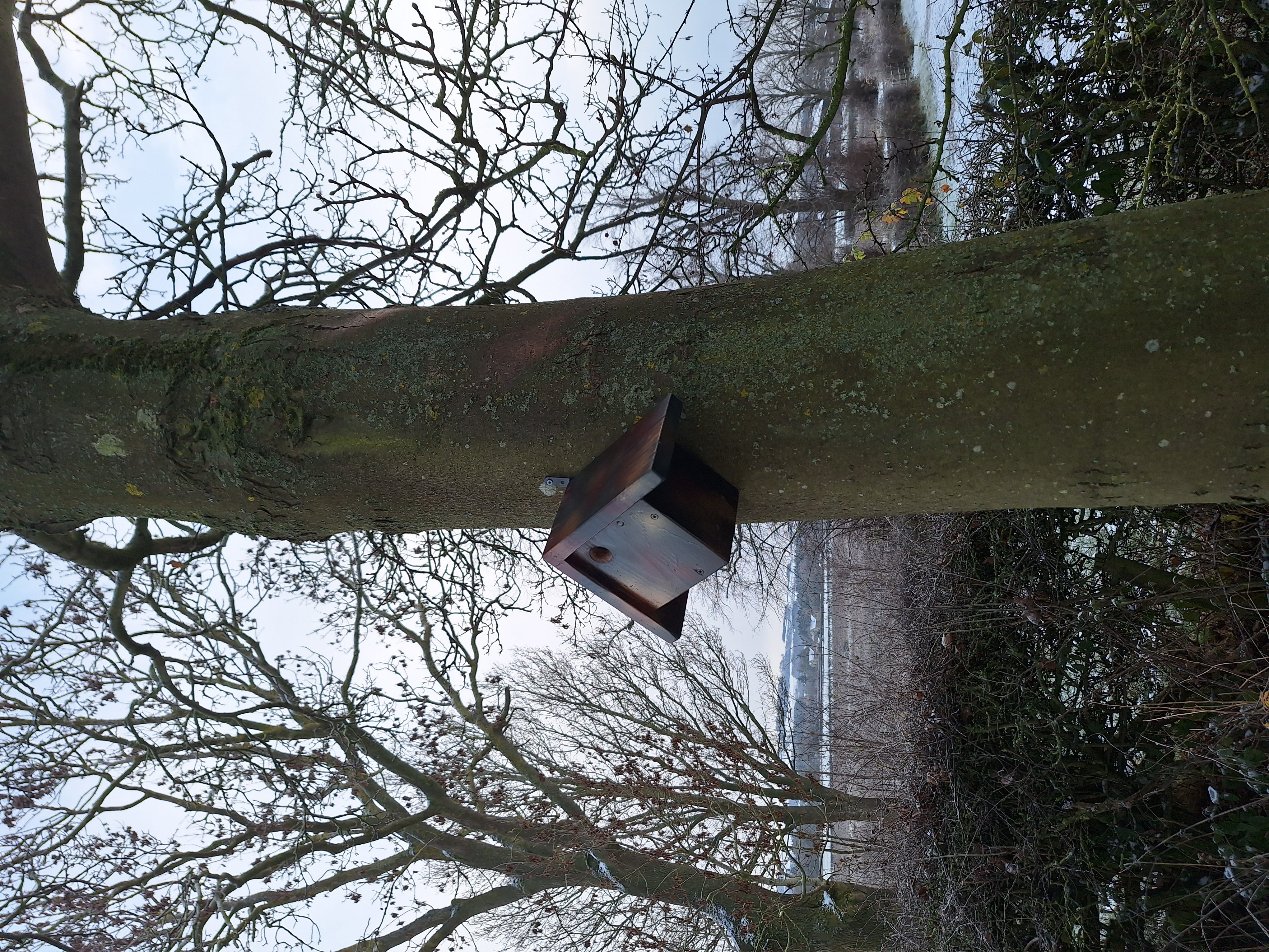 Nesting Box - Featherstone