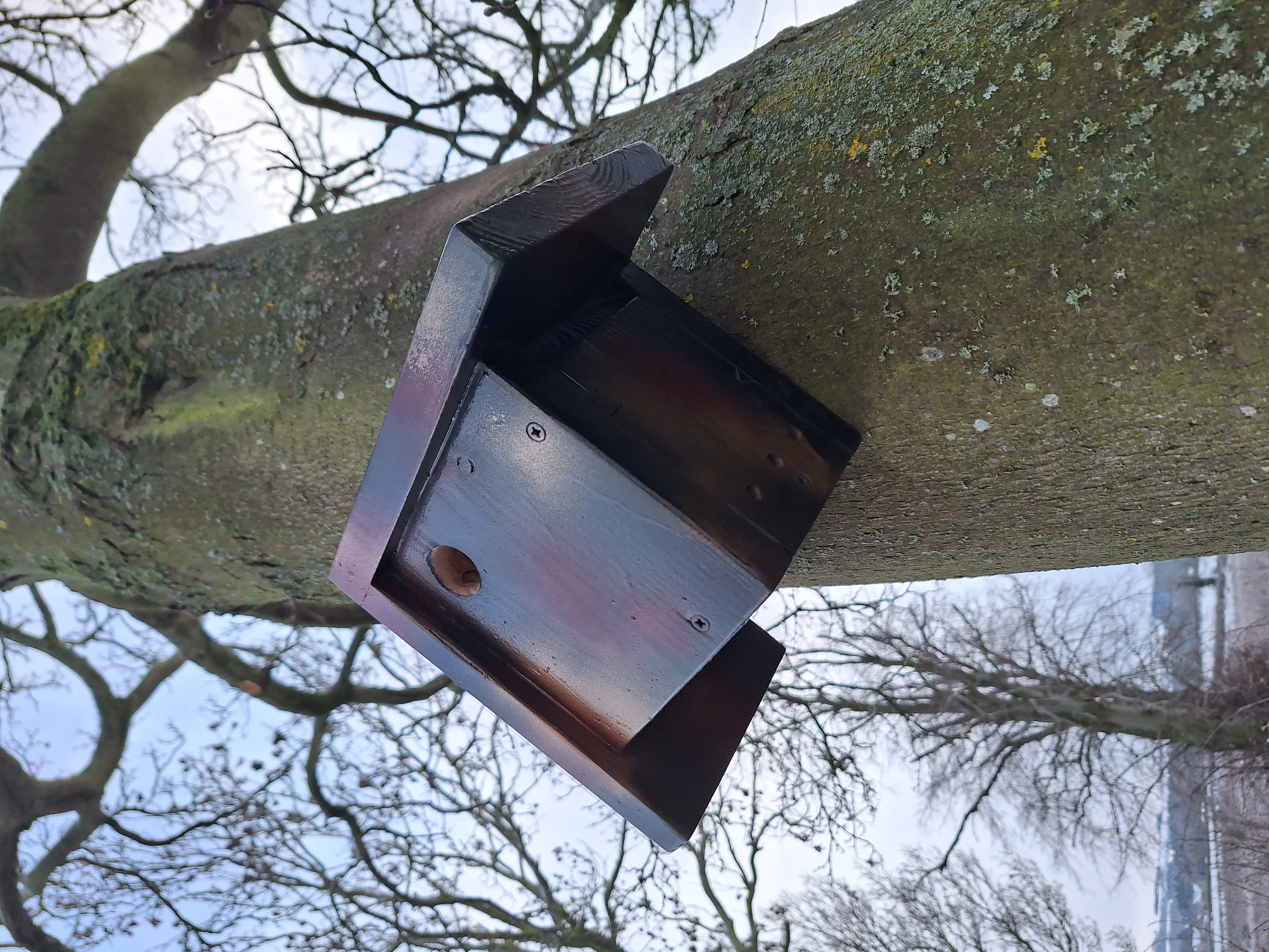 Nesting Box - Featherstone