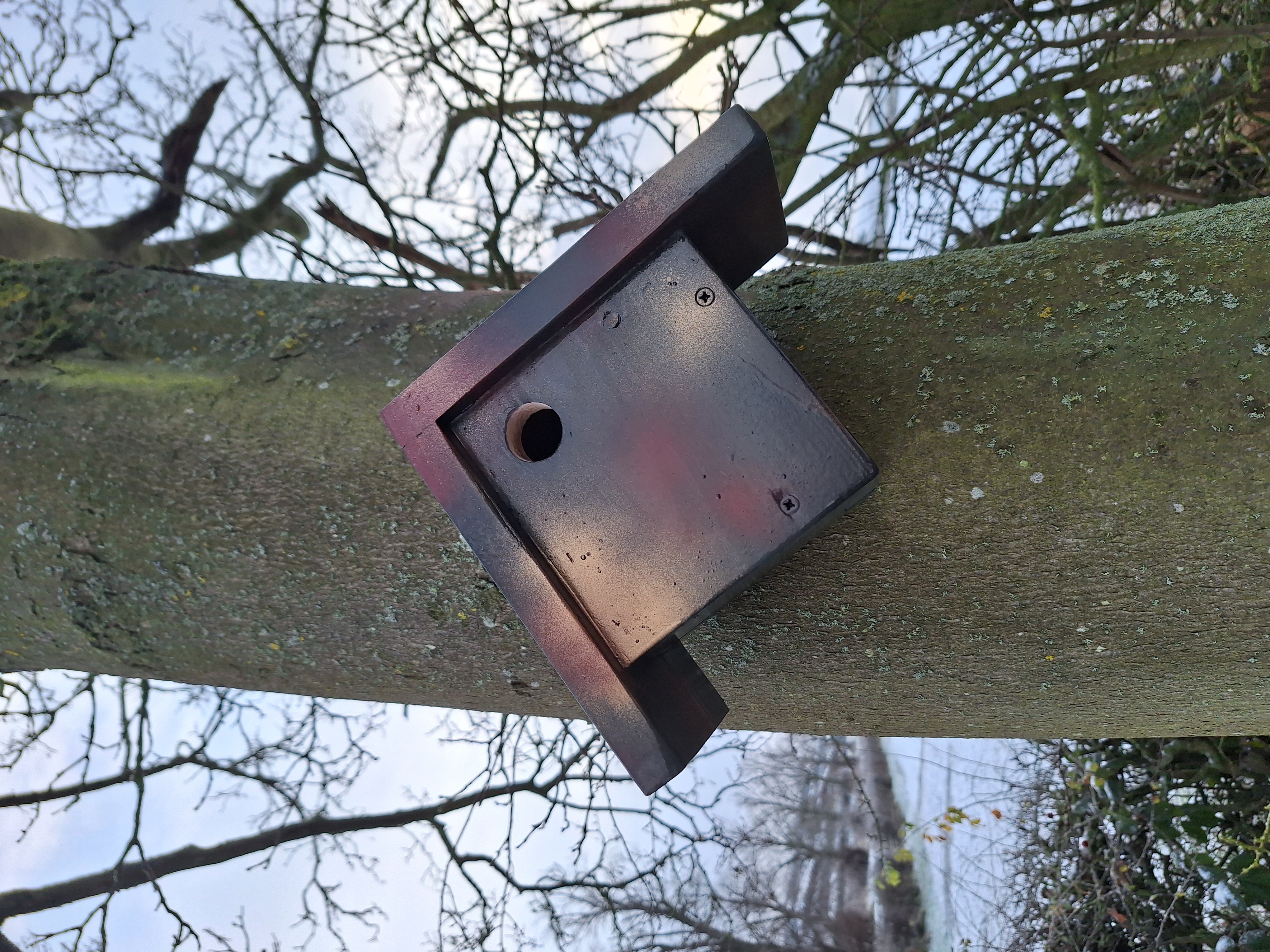Nesting Box - Featherstone