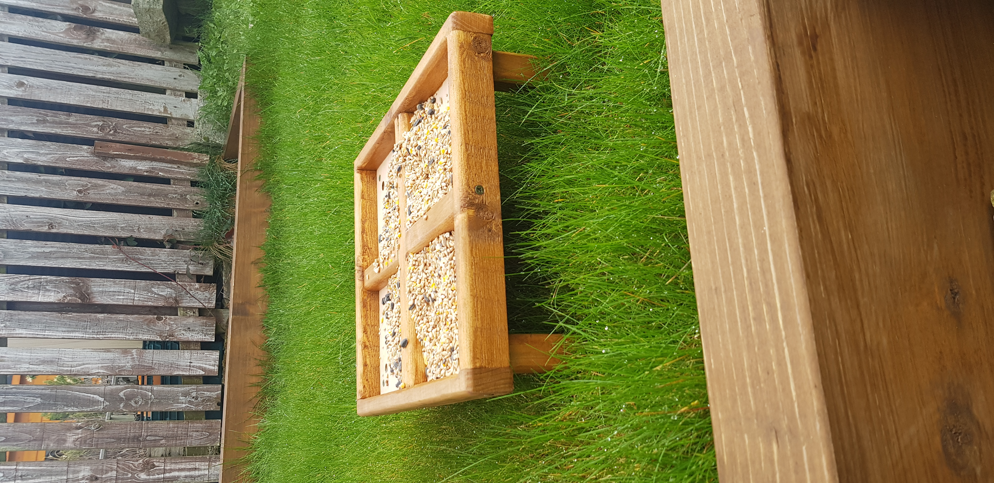 Bird ground feeding tray
