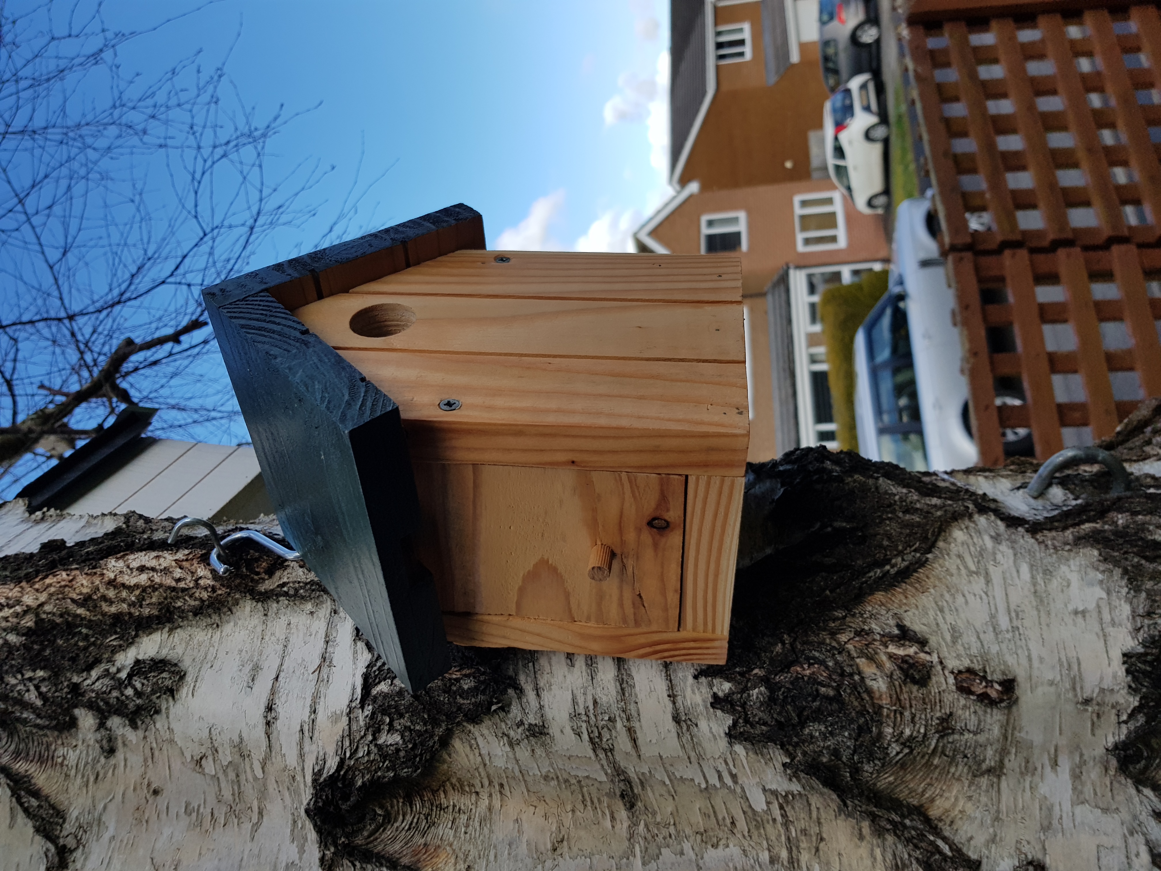 Chipchase Nest Box