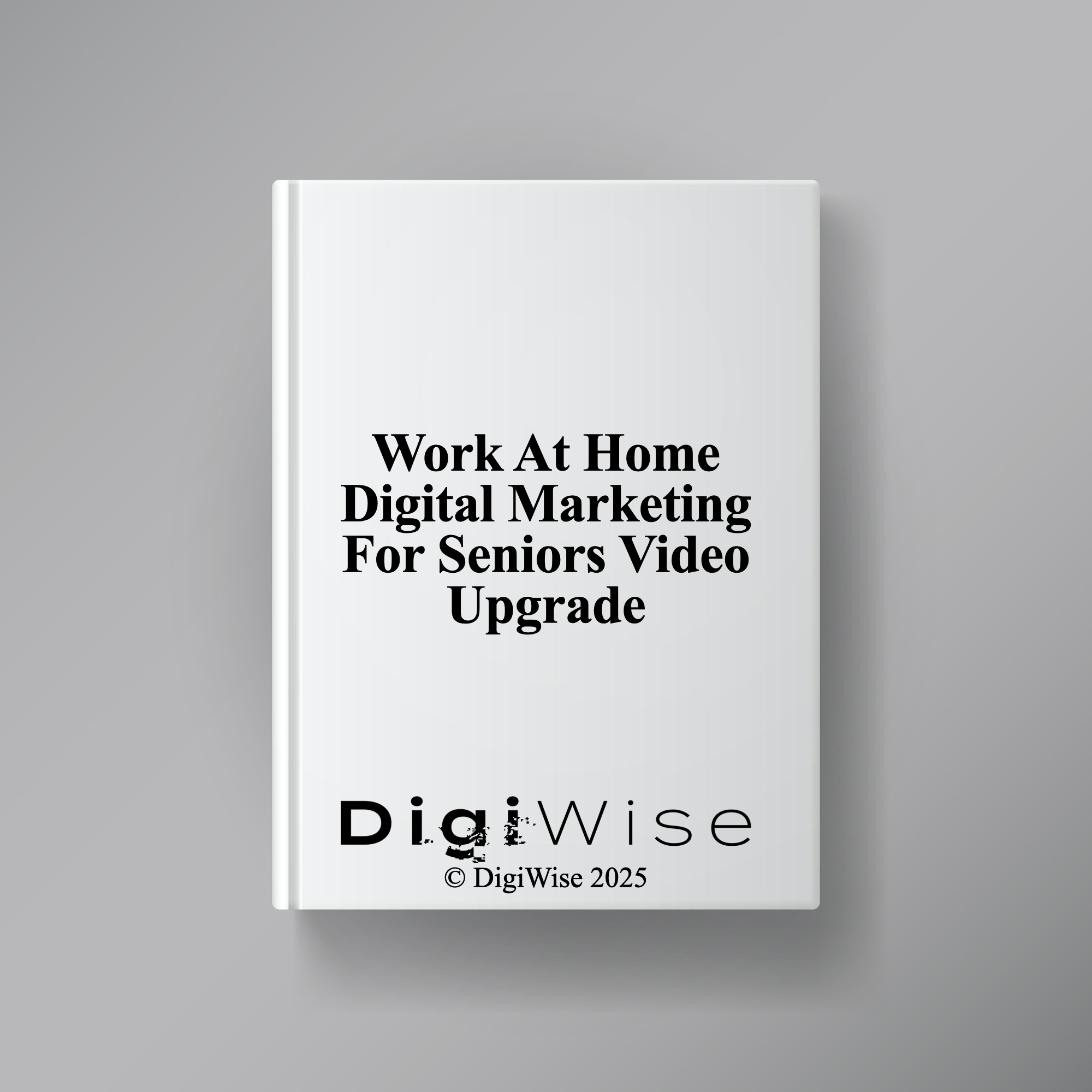 Work At Home Digital Marketing For Seniors Video Upgrade