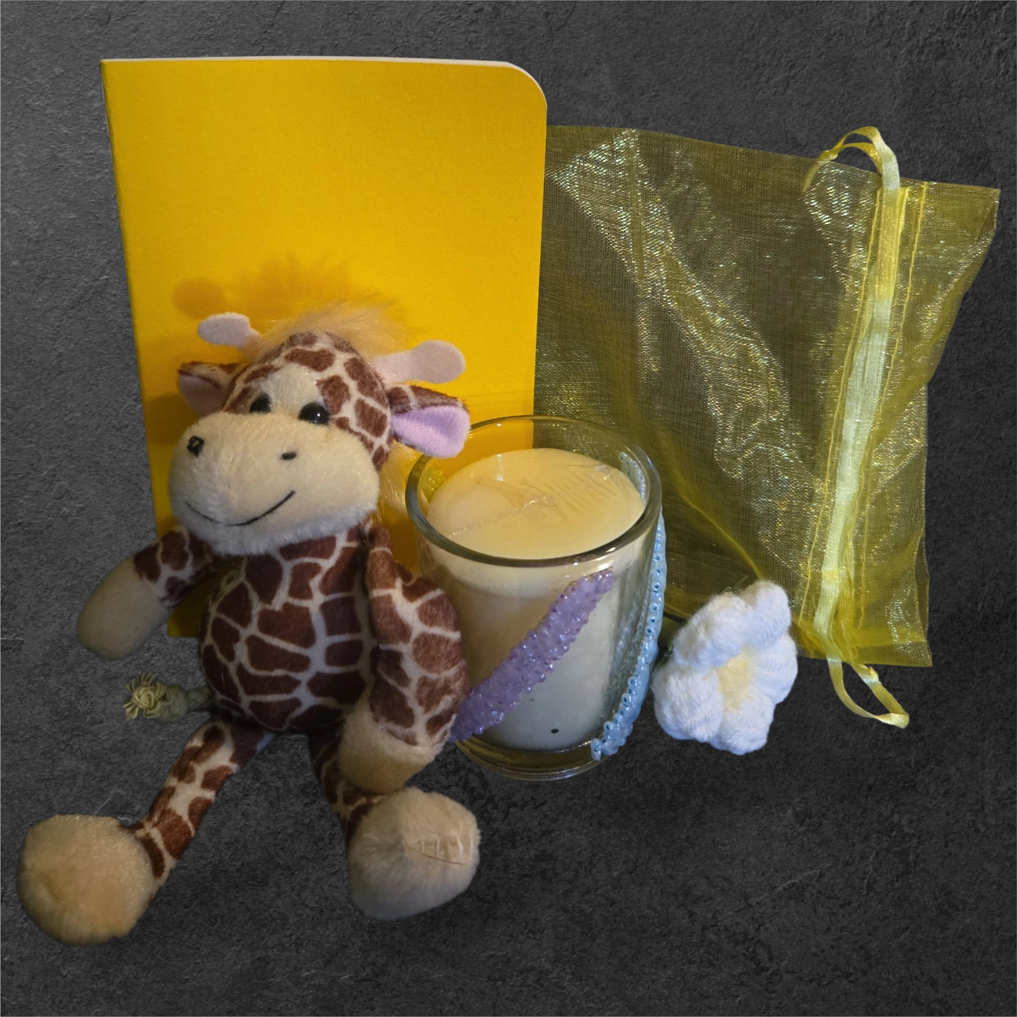 the "Memory Bear" & Journal