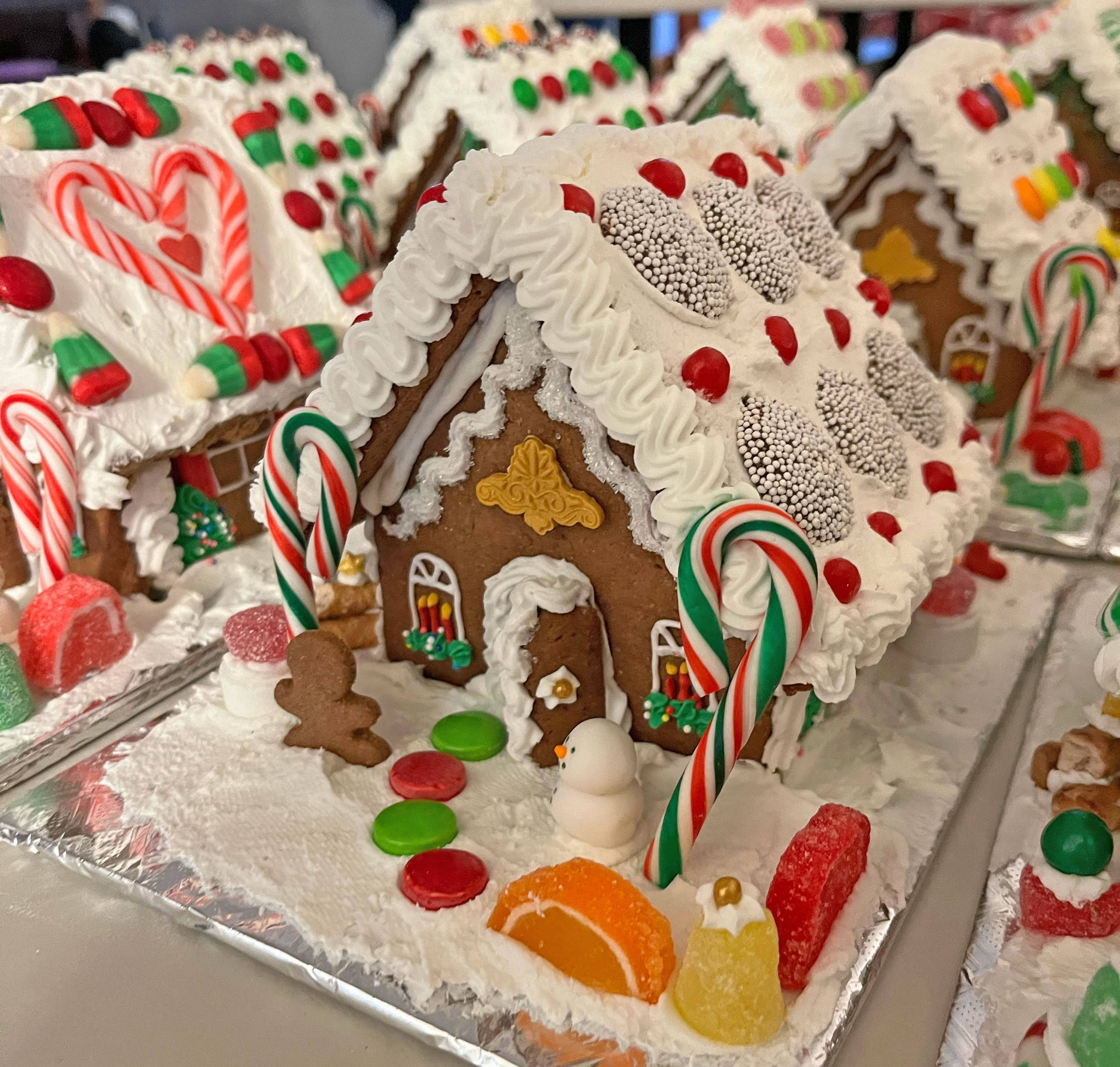 Small Decorated Gingerbread House