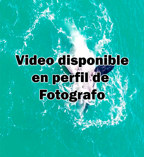 Dron (Video) Jeronimo B