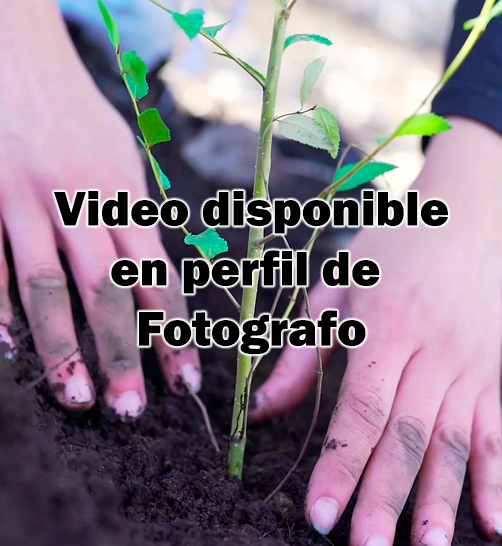 Naturaleza (Video) Jeronimo B