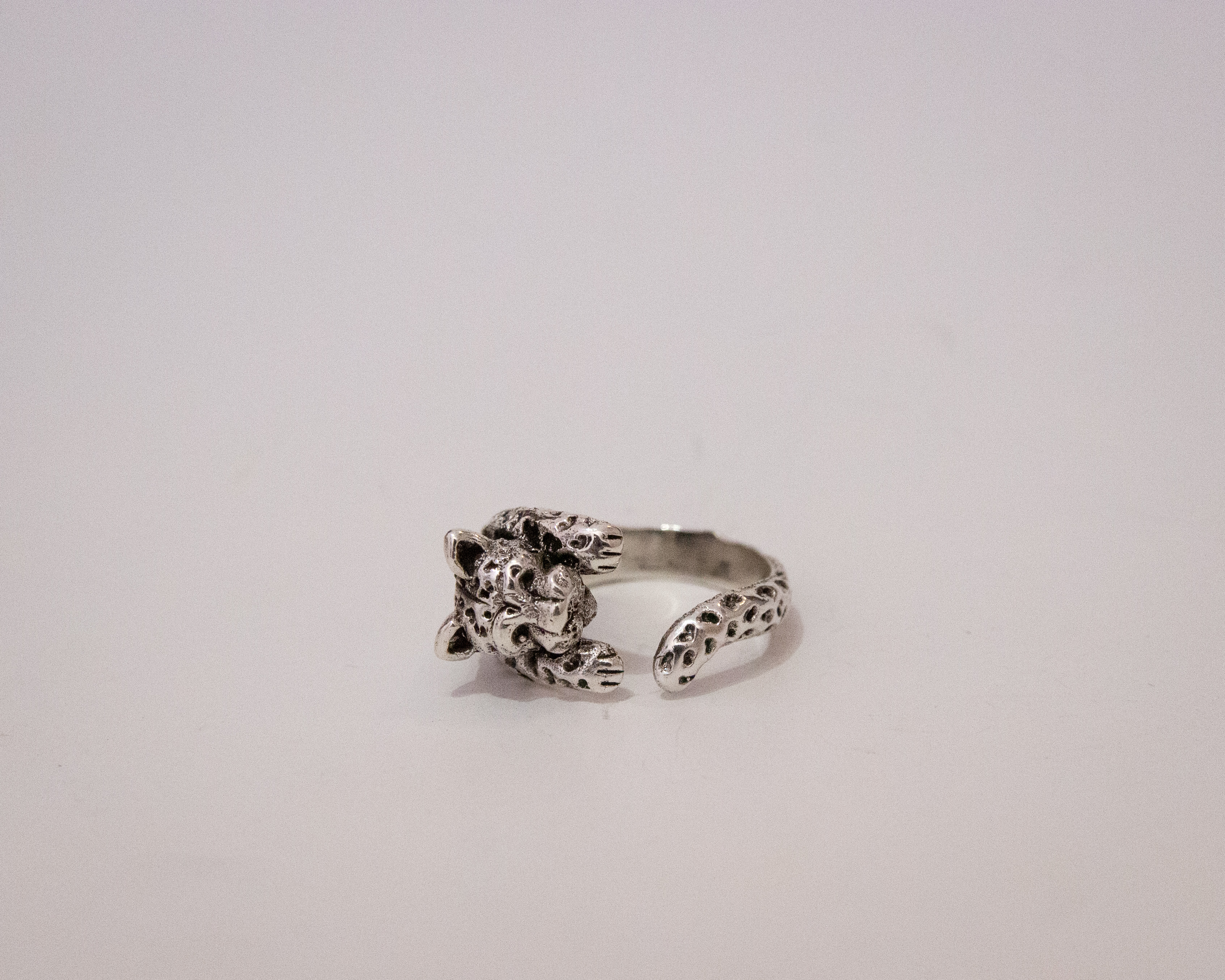 Jaguar en plata
