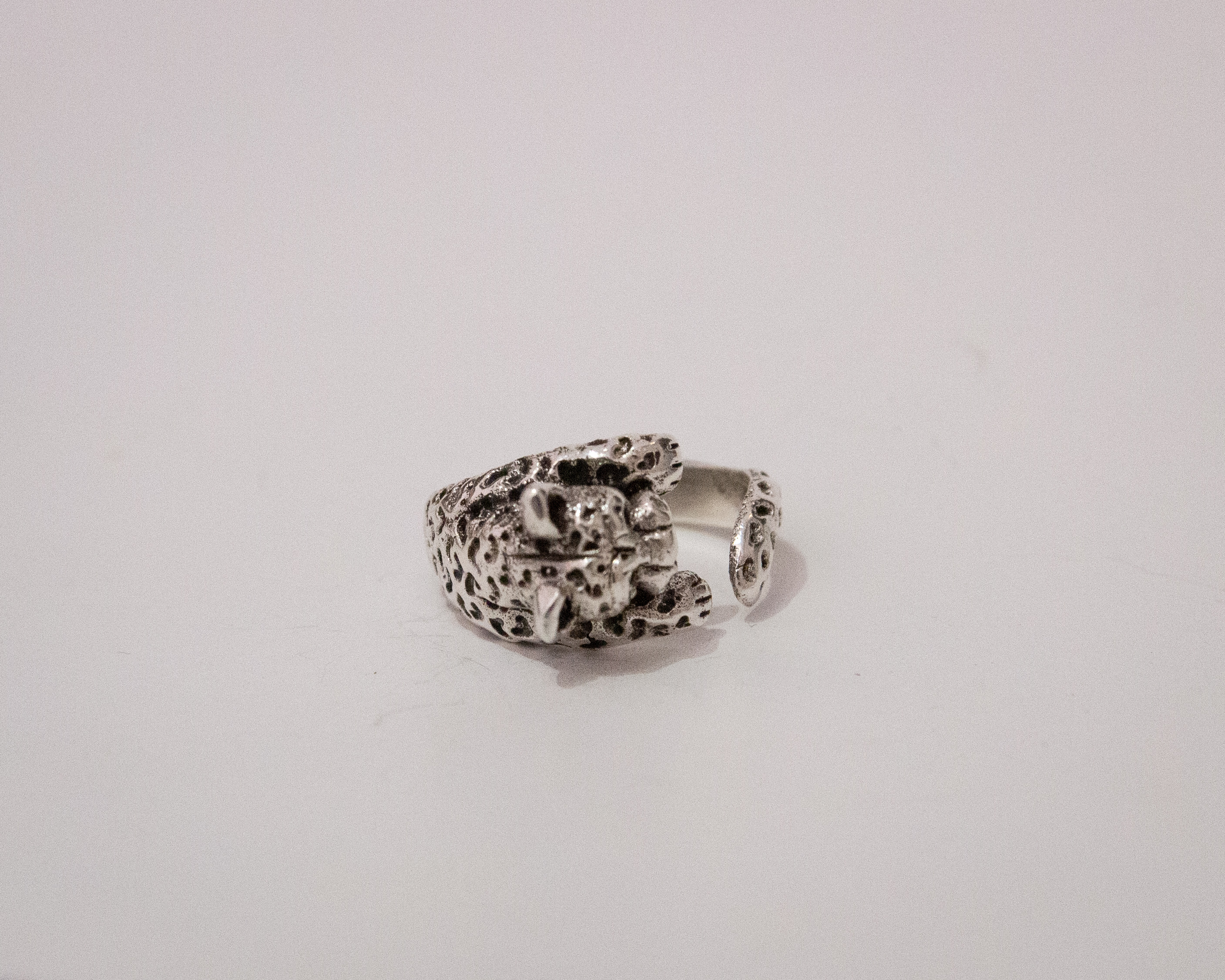 Jaguar en plata