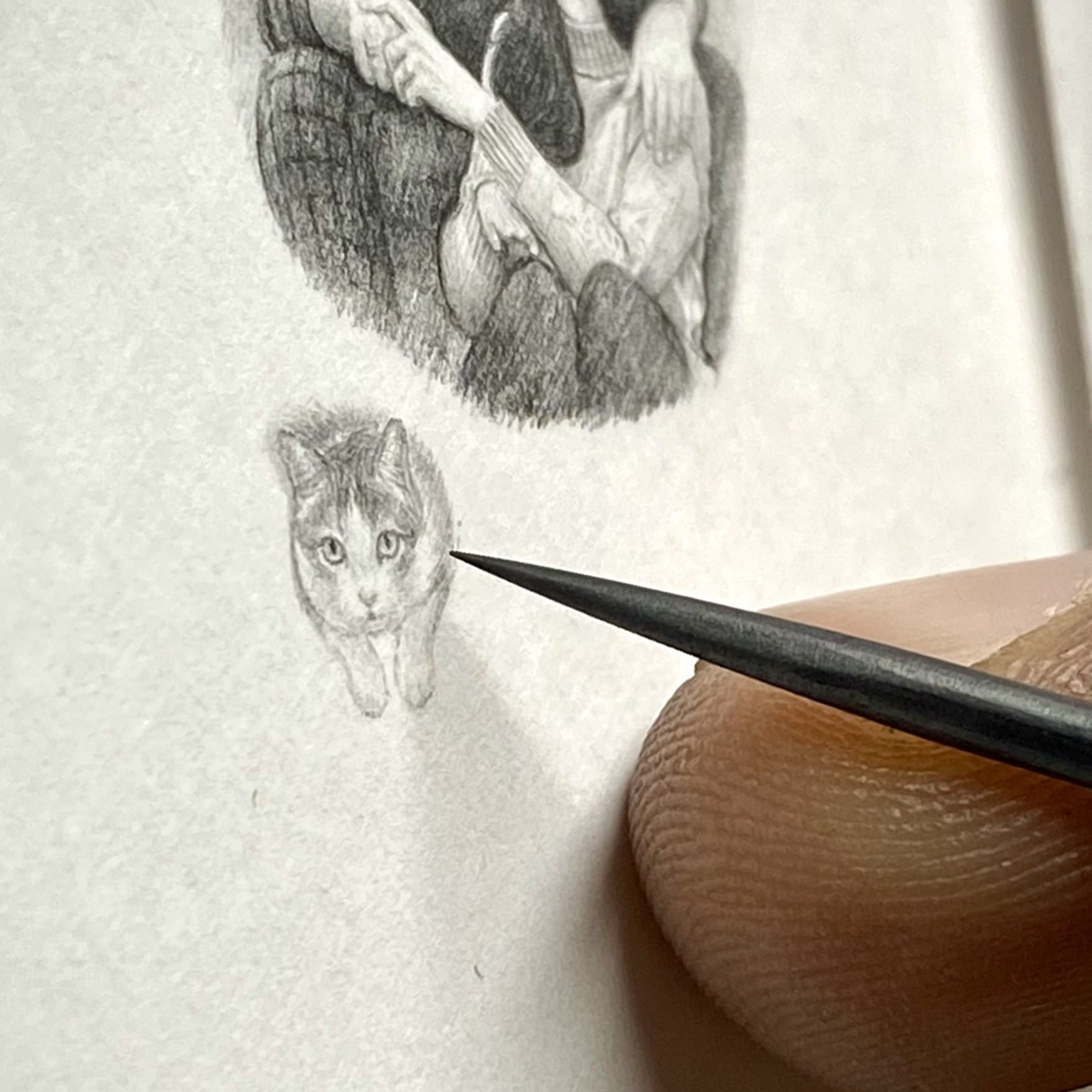 Framed Micro Portraits