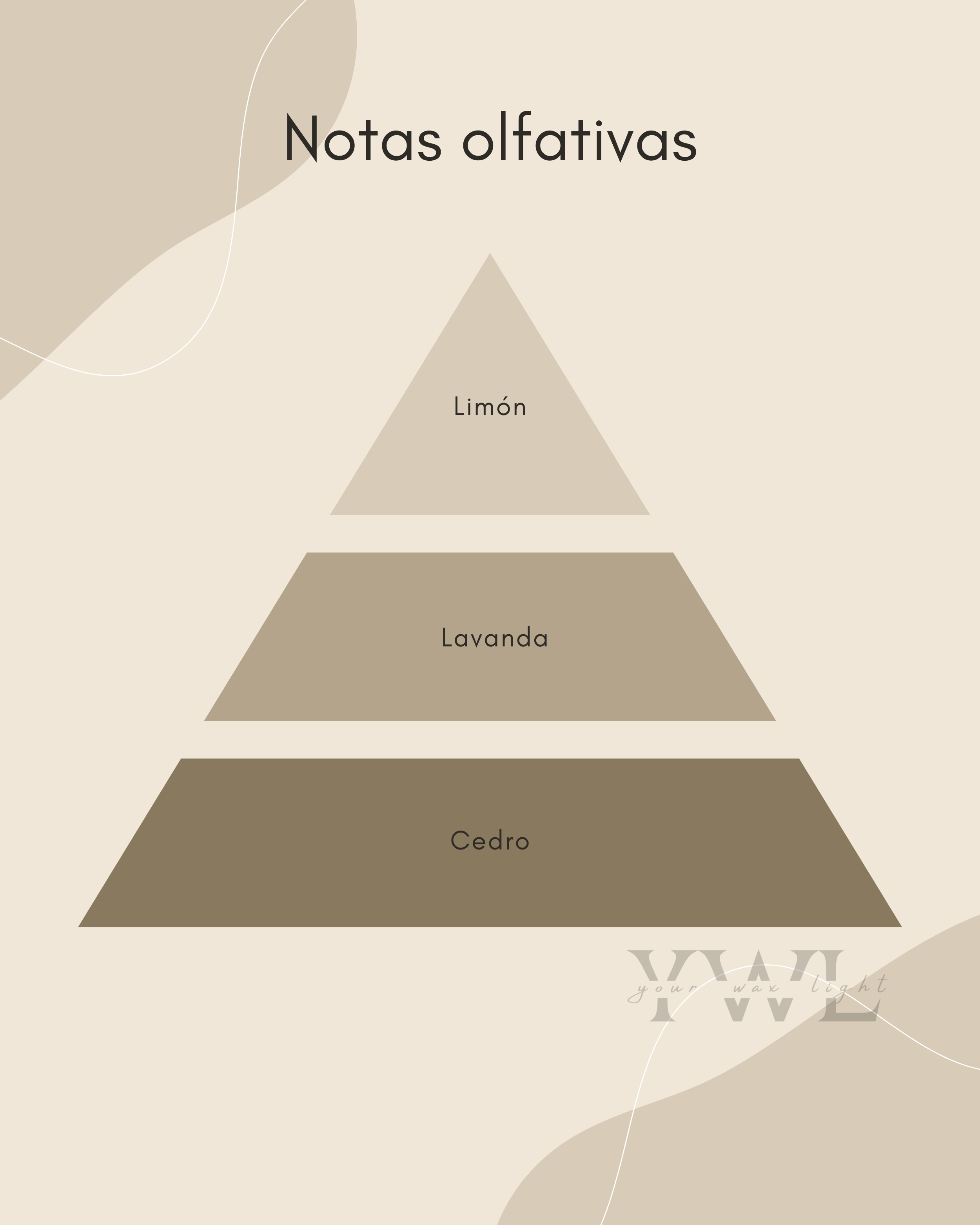 Vela Maxi Light
