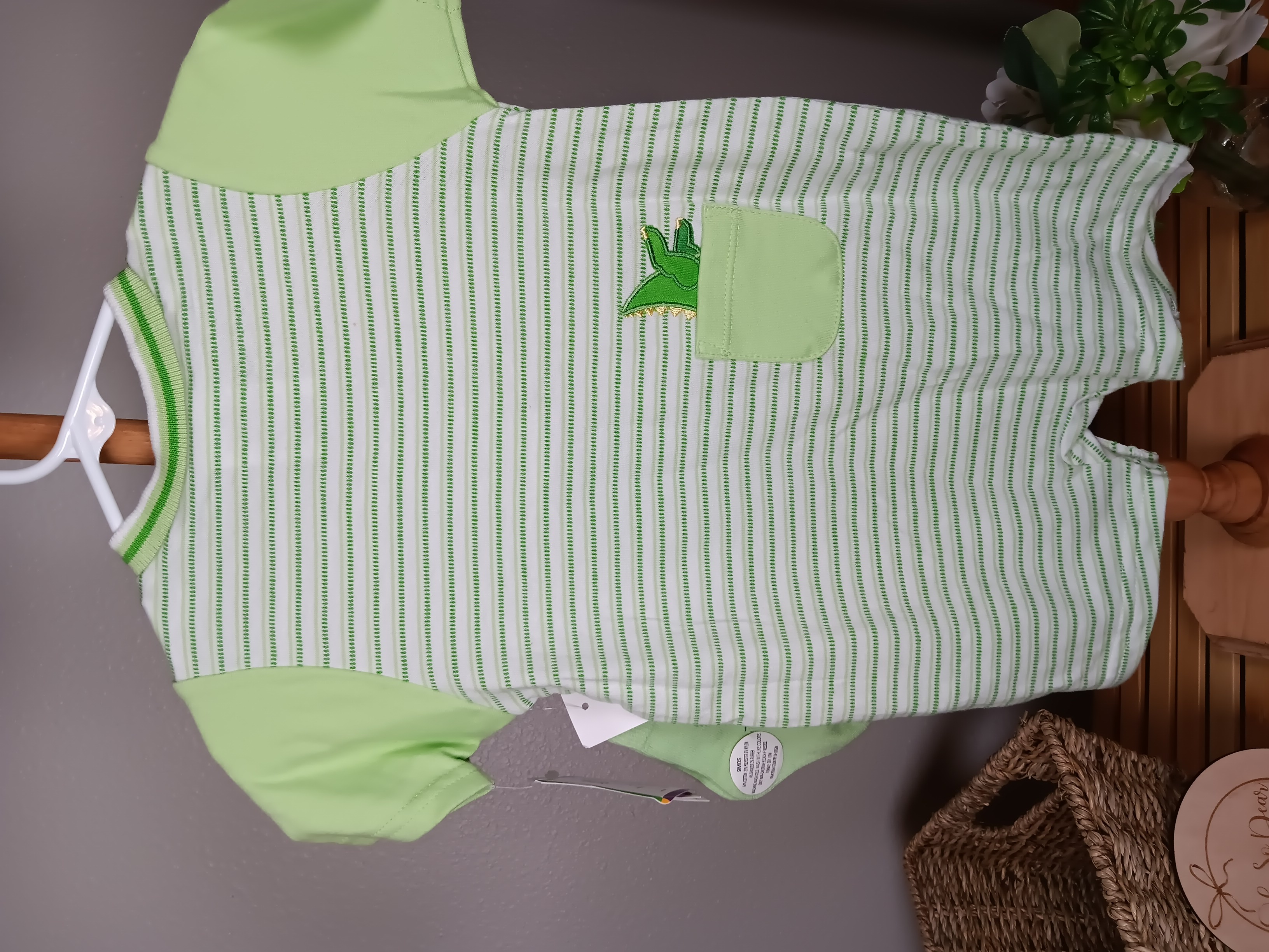Baby romper from Baby Einstein set with Dino design with matching little socks size 9 months NWT
