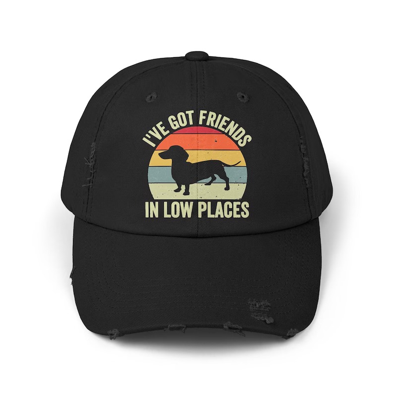 I've Got Friends in Low Places Cap