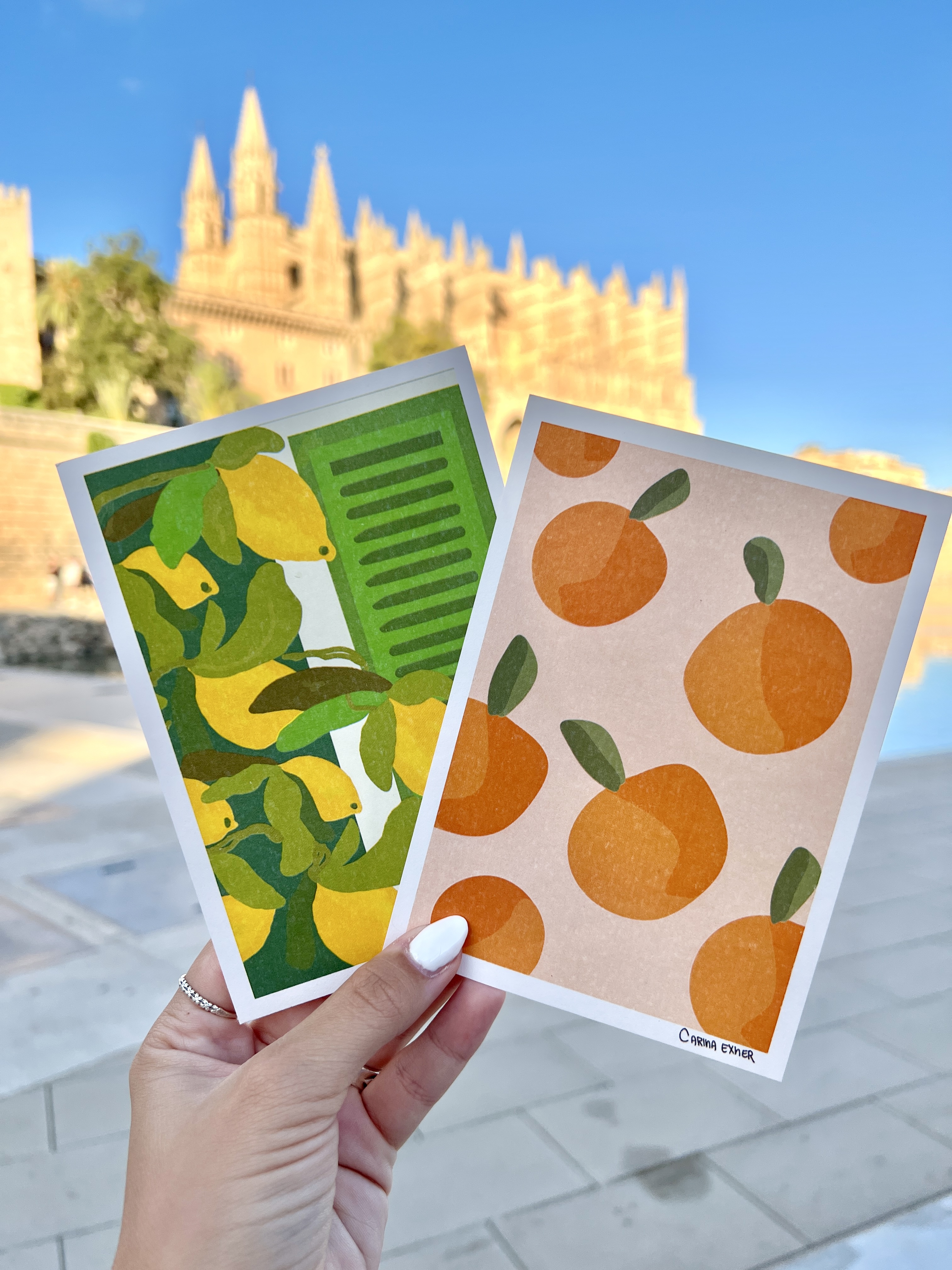 Set of Fruit Postcards