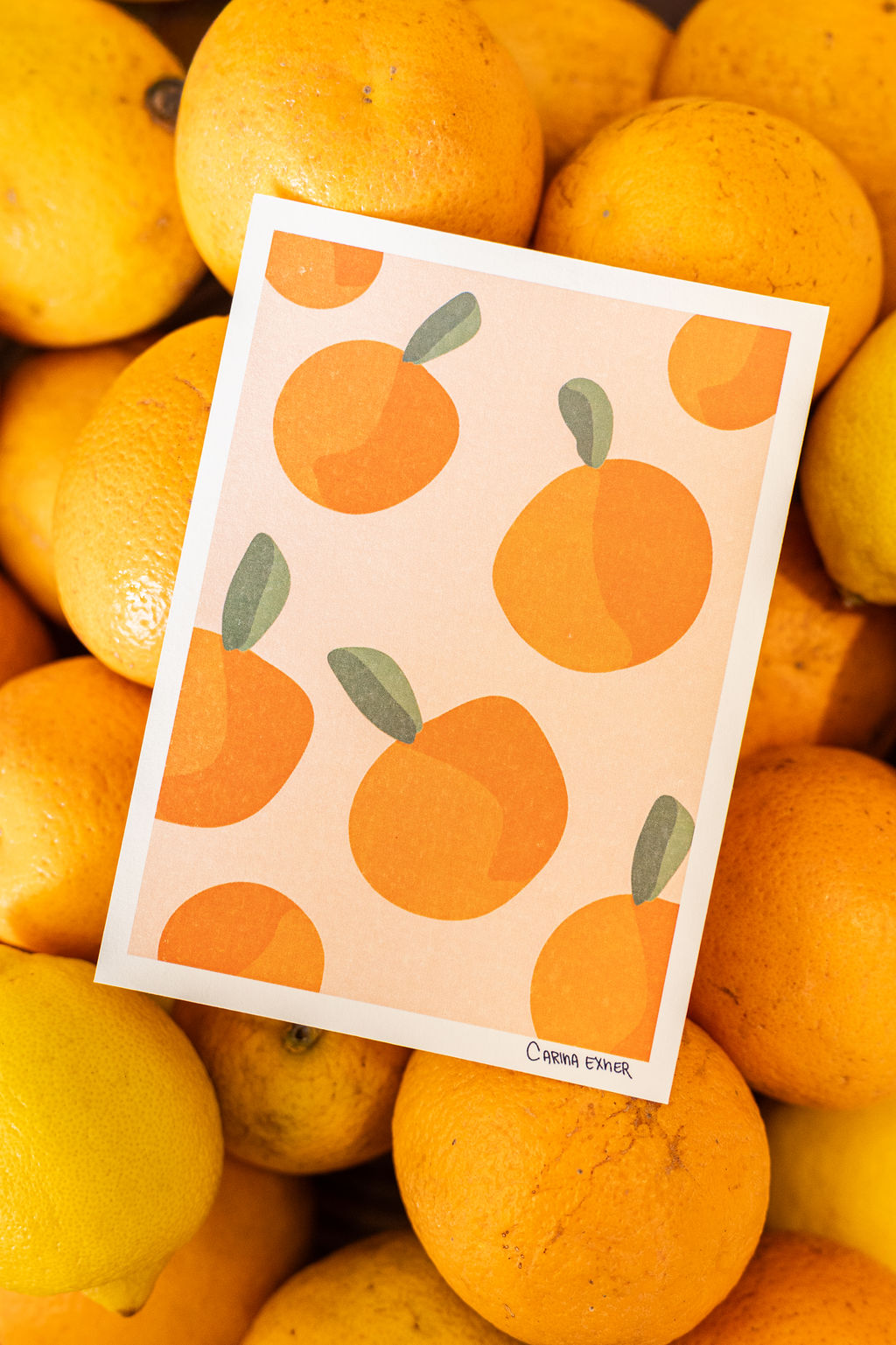Set of Fruit Postcards