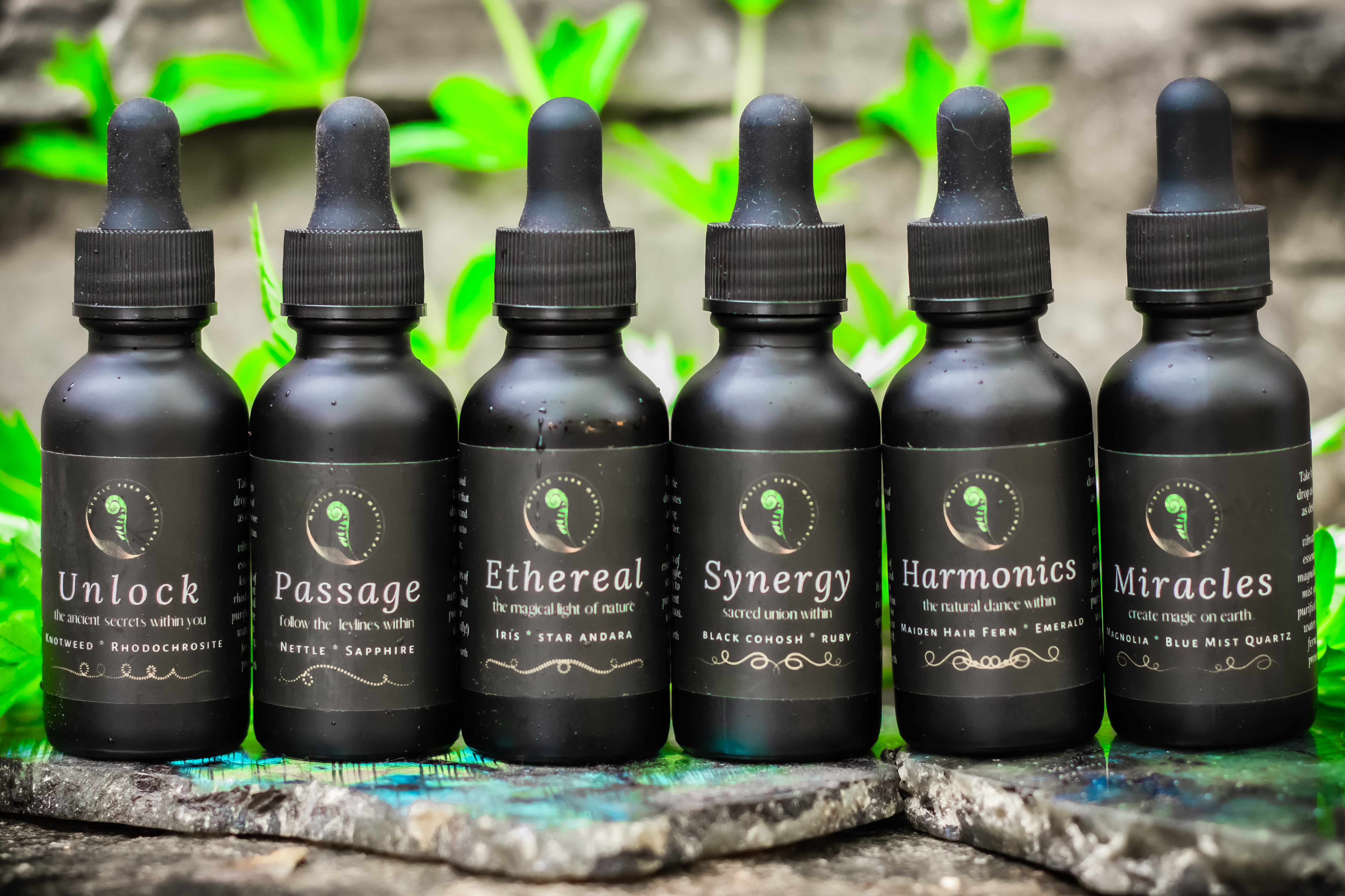 Mystic Fern Medicine Set