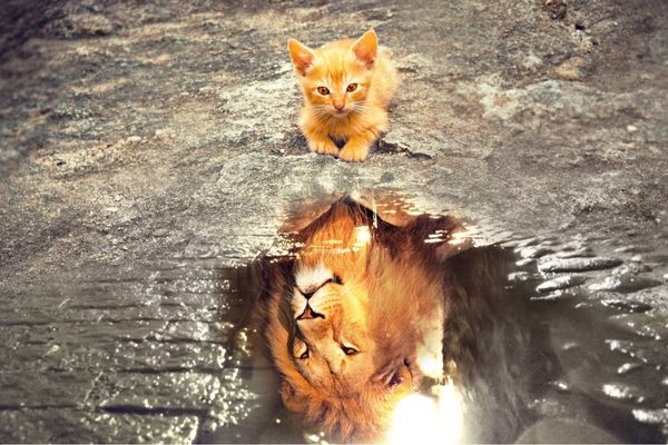 3 Séances PSYCH-K® d'1h15