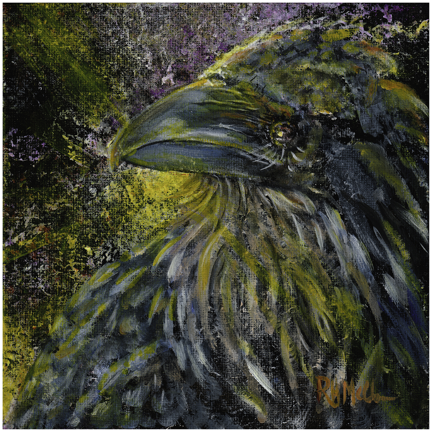 Heckle the Raven